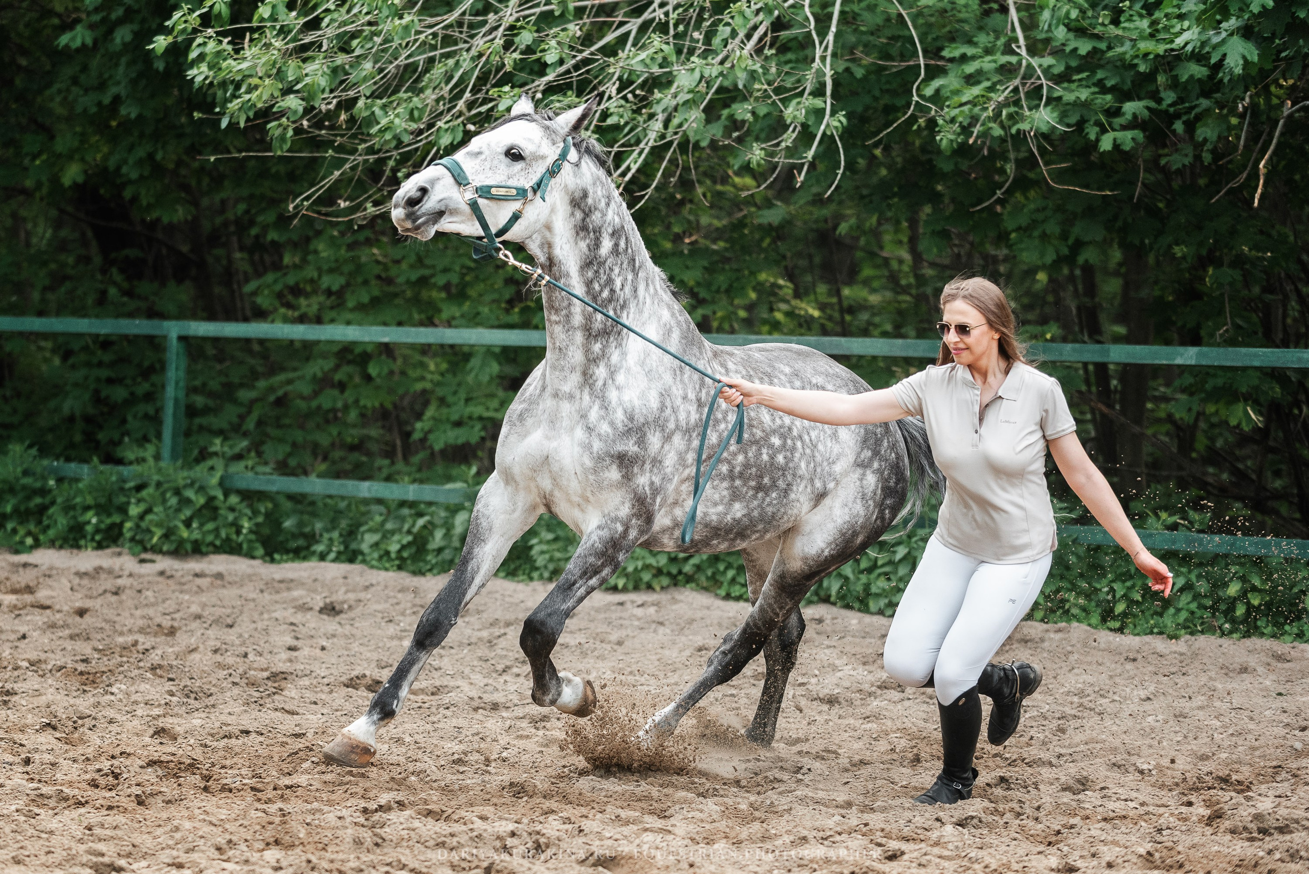 КСПХ «ЮНА», Зелёновое. Конный фотограф Куракина Дарья • Фотосессии с лошадьми