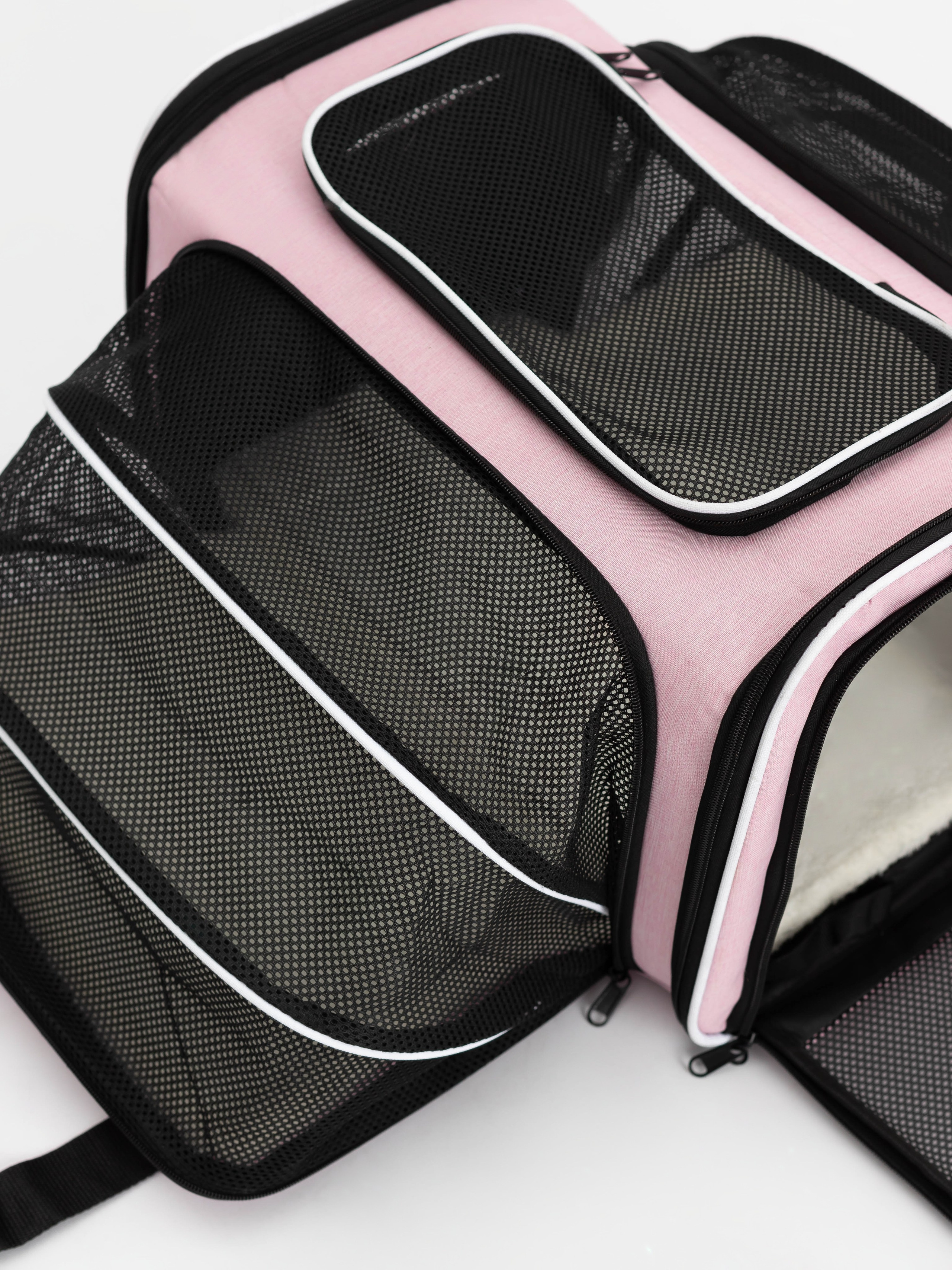 Переноска для питомца. Коммерческий фотограф в Санкт-Петербурге (СПб) Екатерина Панчёха, Панчёшка