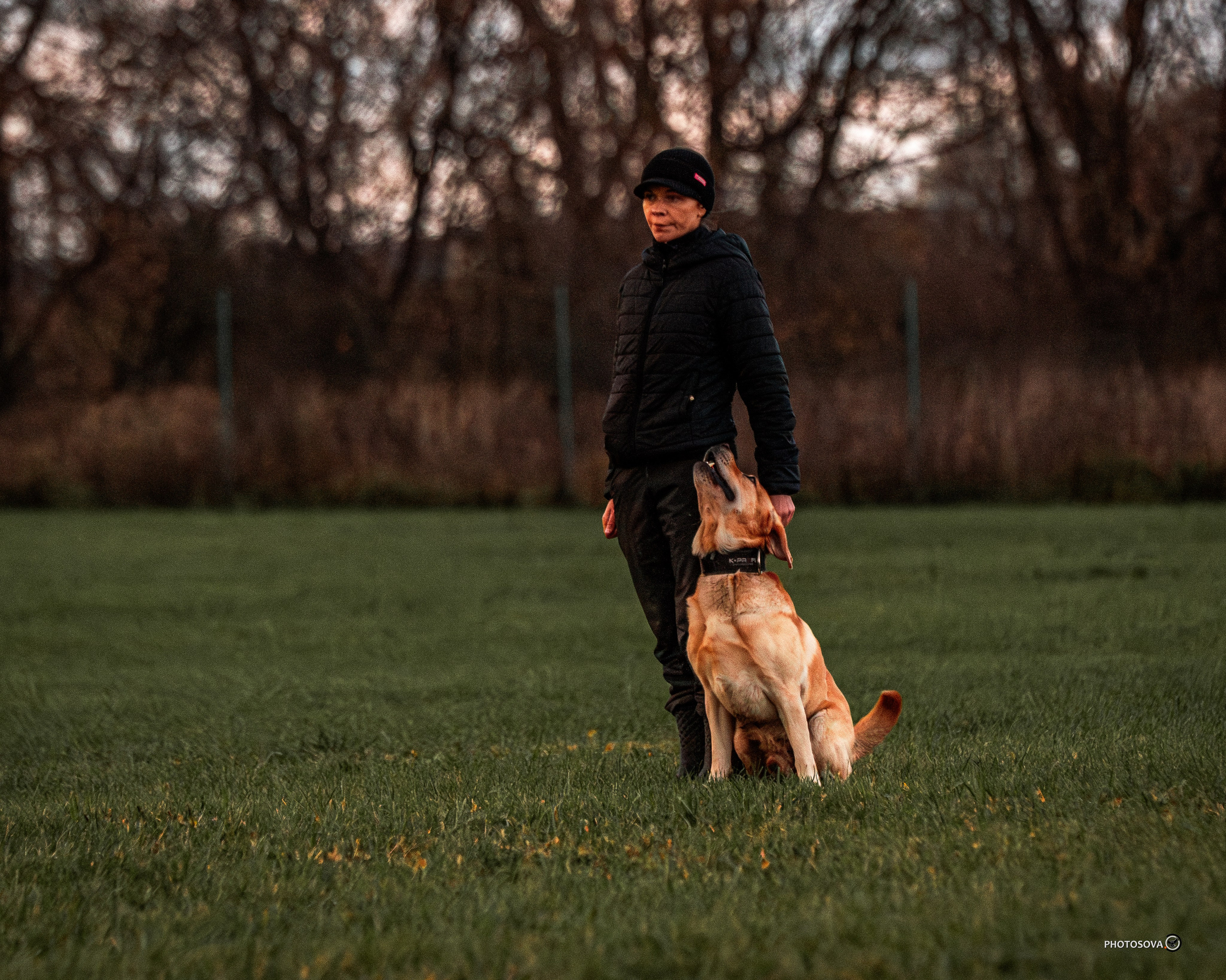 МЫ — КОМАНДА (соревнования) OKD, BH, IBGH, IGP. Фотограф-анималист, семейный фотограф в Москве и Подмосковье. Фотосъёмка кинологических дисциплин
