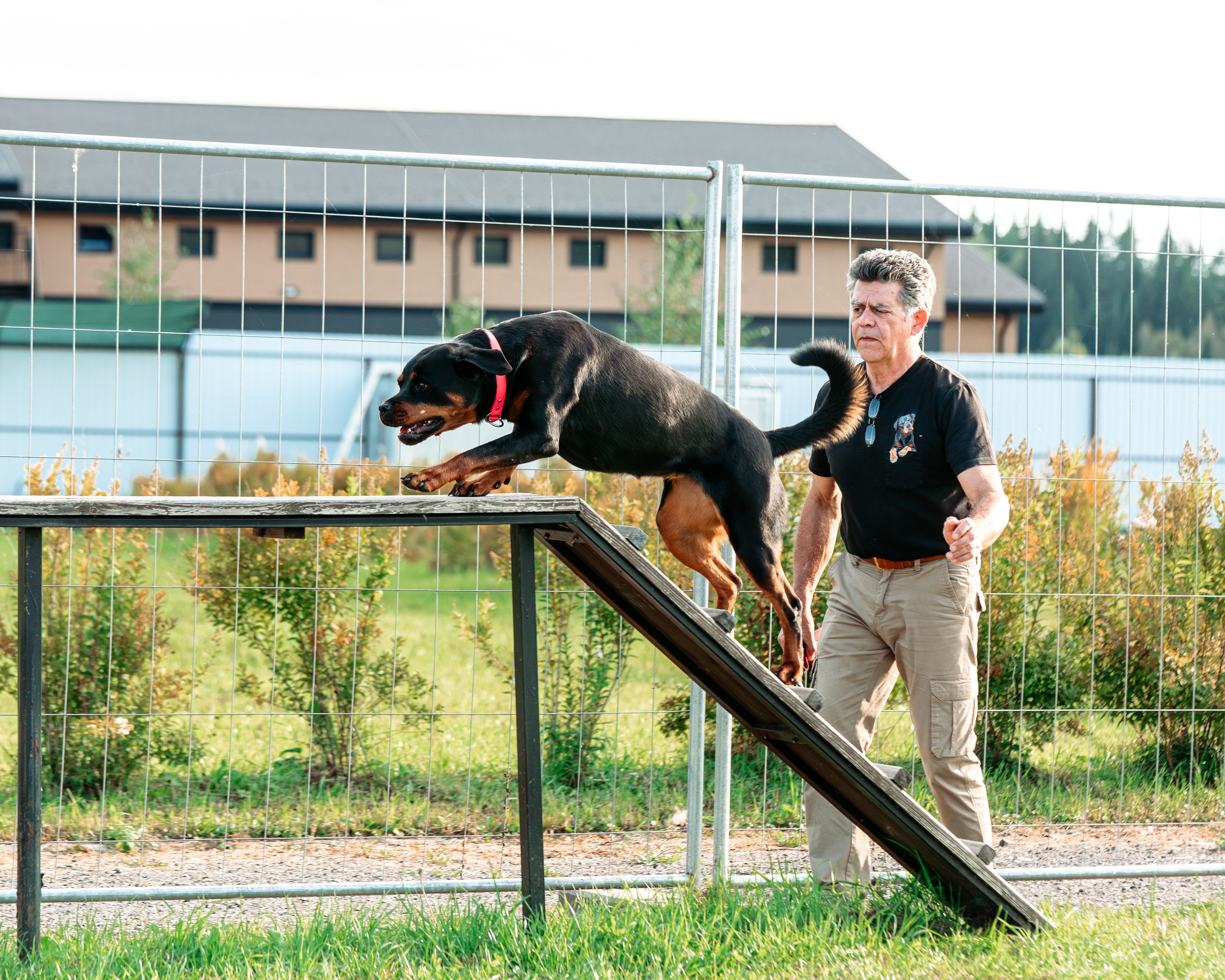 Ваш путь к ПОБЕДЕ (ТРЕНИРОВКИ). Фотограф-анималист, семейный фотограф в Москве и Подмосковье. Фотосъёмка кинологических дисциплин