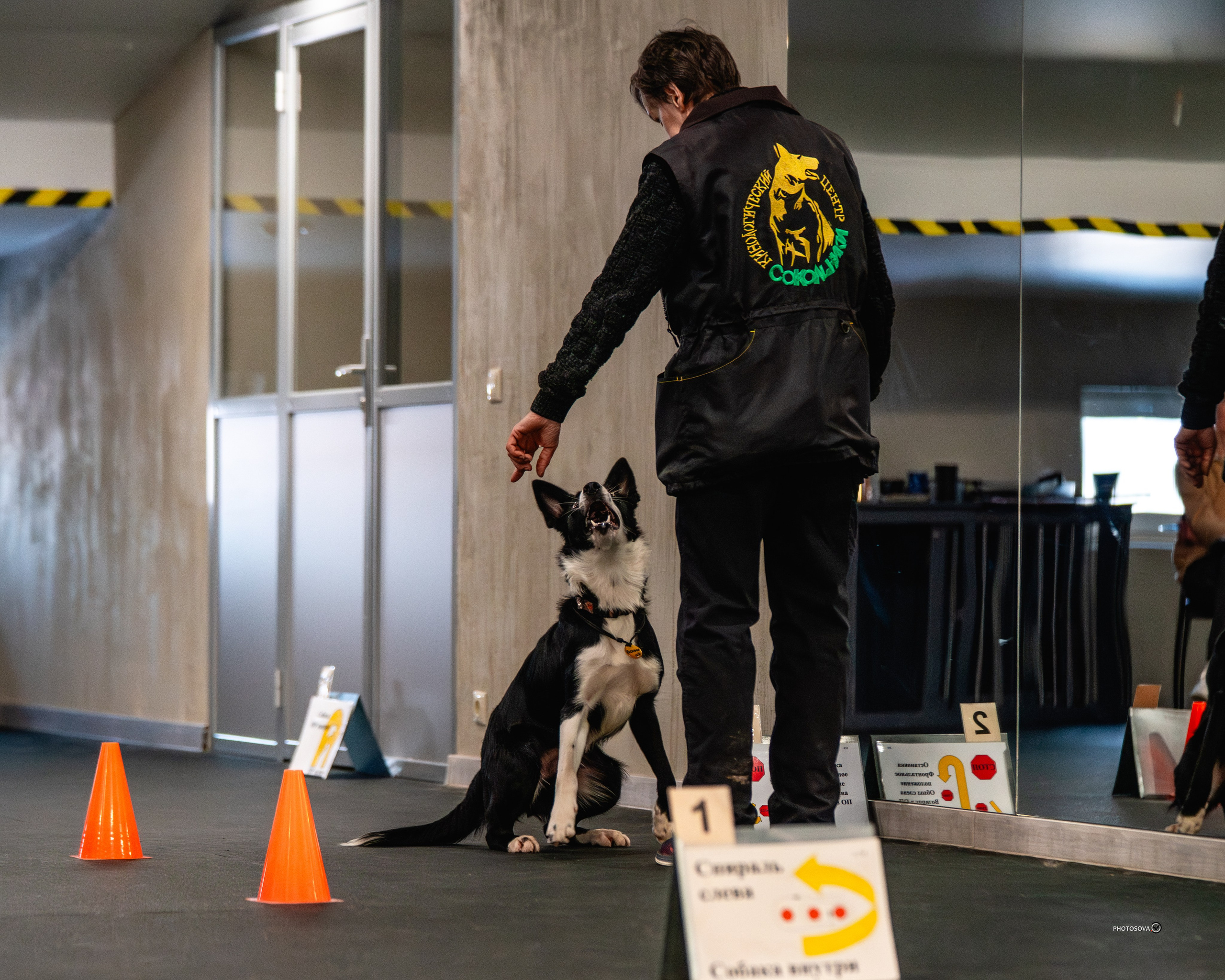 ТЫ И Я (соревнования по ралли-обидиенс). Фотограф-анималист, семейный фотограф в Москве и Подмосковье. Фотосъёмка кинологических дисциплин