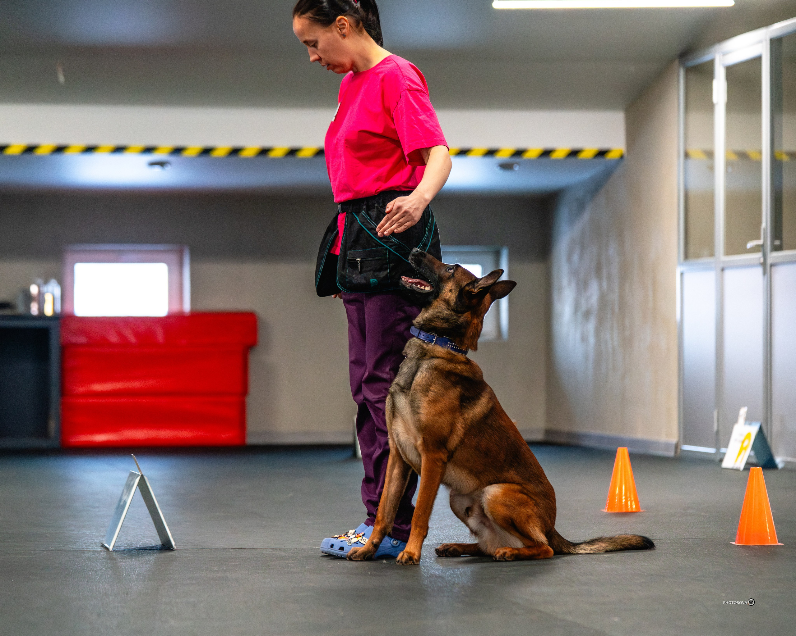 ТЫ И Я (соревнования по ралли-обидиенс). Фотограф-анималист, семейный фотограф в Москве и Подмосковье. Фотосъёмка кинологических дисциплин