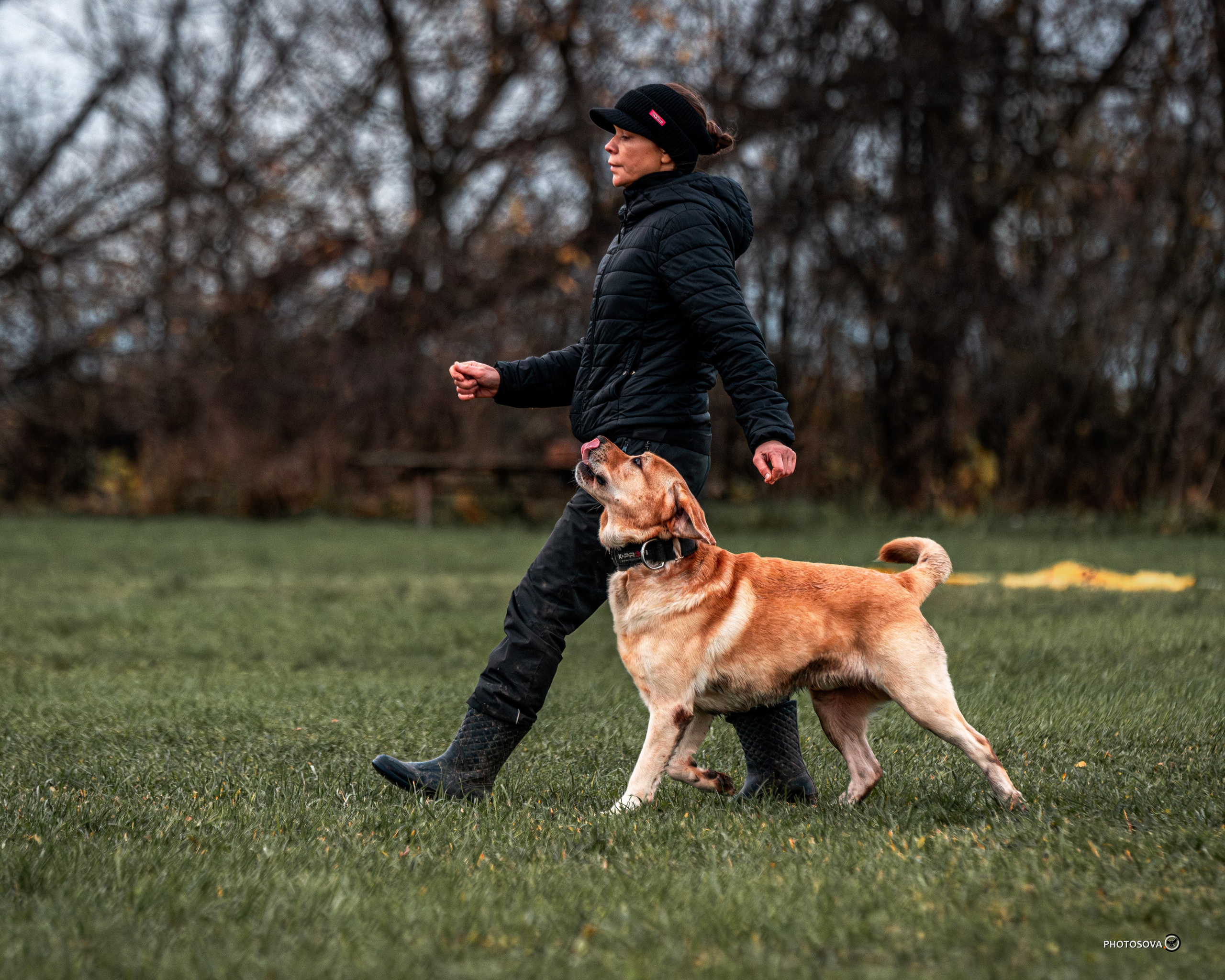 МЫ — КОМАНДА (соревнования) OKD, BH, IBGH, IGP. Фотограф-анималист, семейный фотограф в Москве и Подмосковье. Фотосъёмка кинологических дисциплин