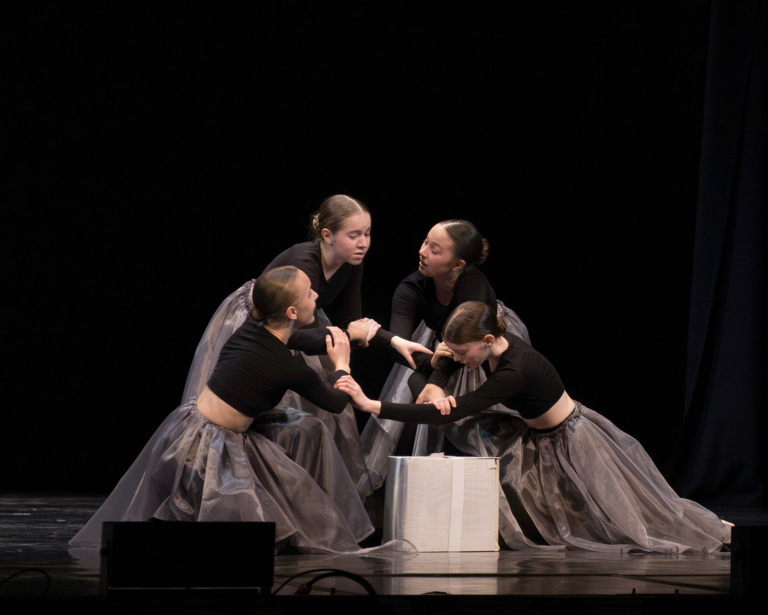 Пантера 2025. Репортажный фотограф в Казани Павел Серпокрылов