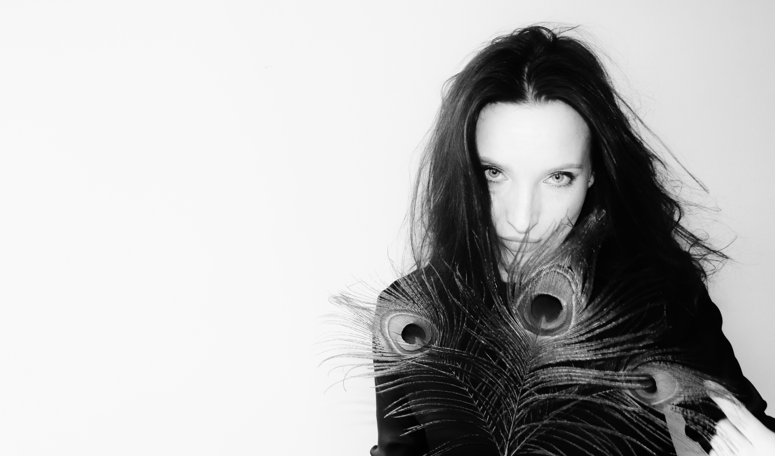 Fairy Bird. Juliarubis.com