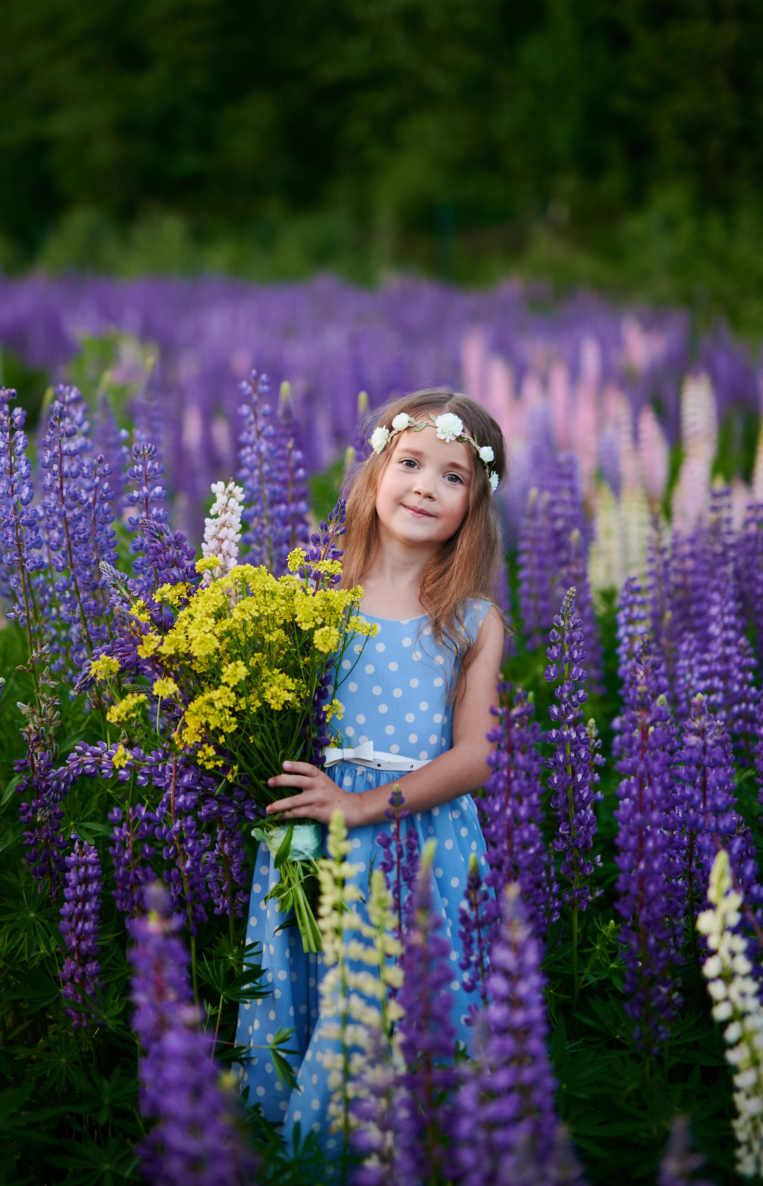 Счастье в люпинах. Портретный, семейный и свадебный фотограф в Санкт-Петербурге и в Пушкине Ширяев Денис