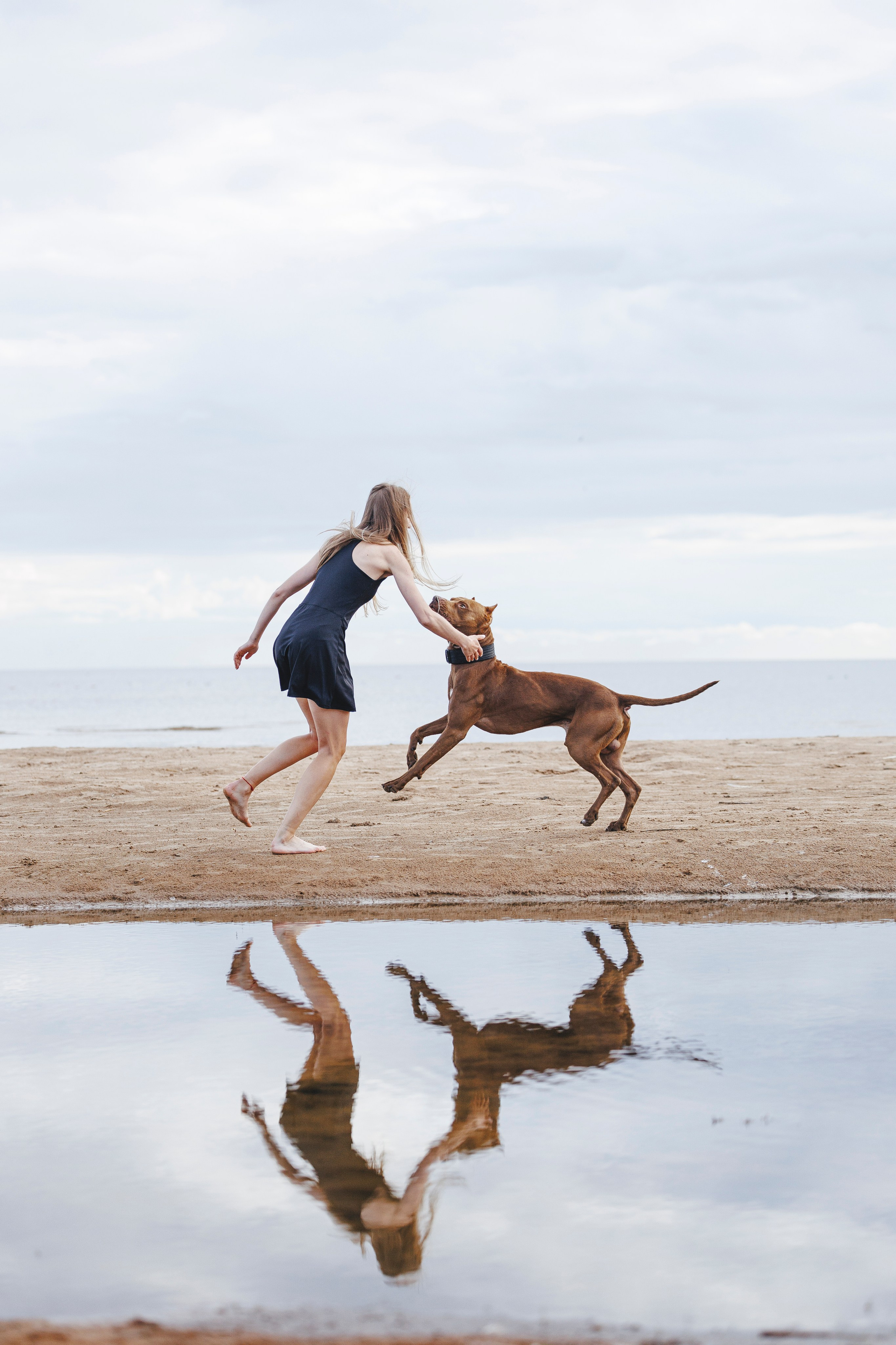 Яна и Энди. Фотограф-анималист Анна Маринич