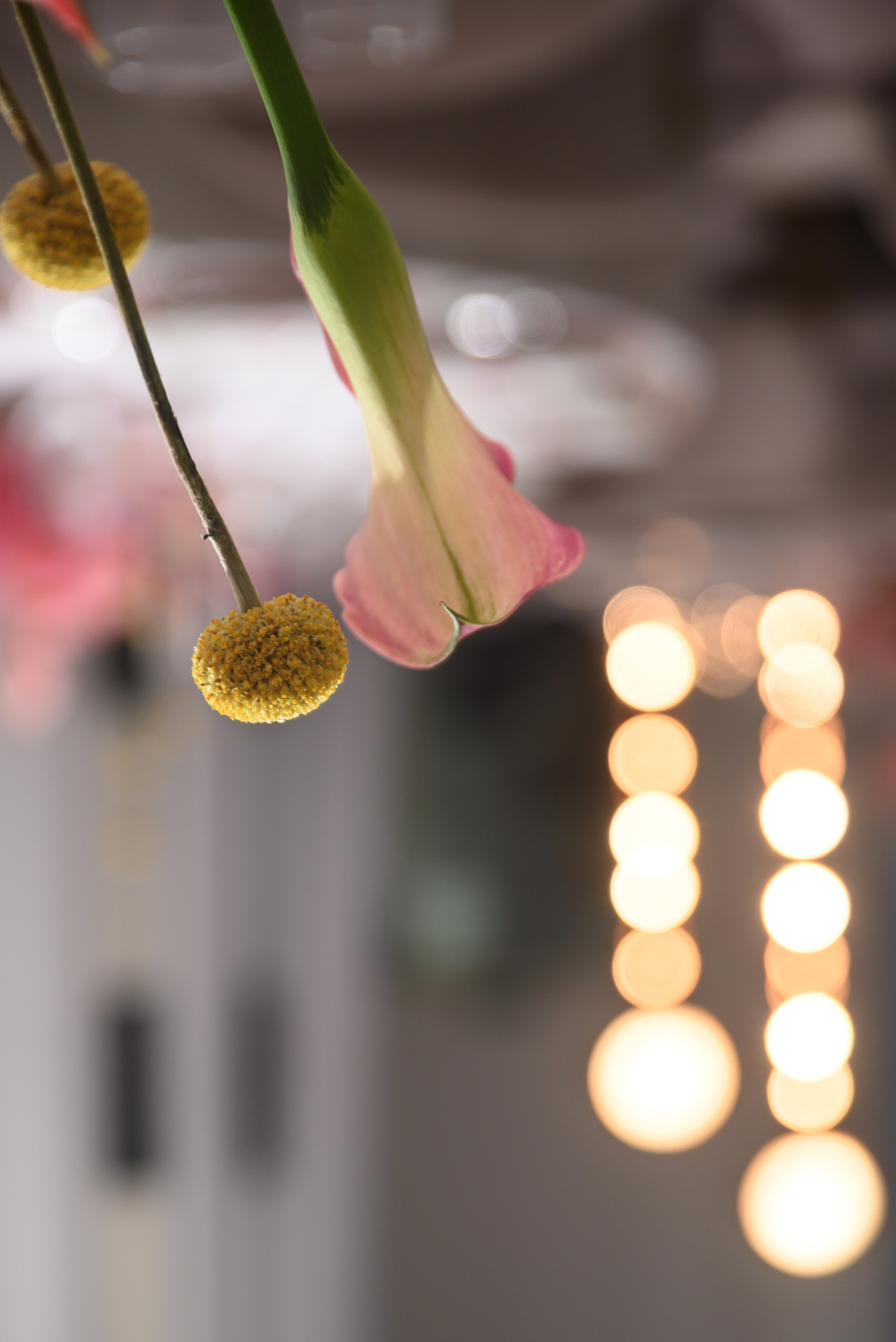 Павел & Ольга (церемония). Свадебный, семейный, женский фотограф в Москве, Мытищах, Королёве Ксения Узилле