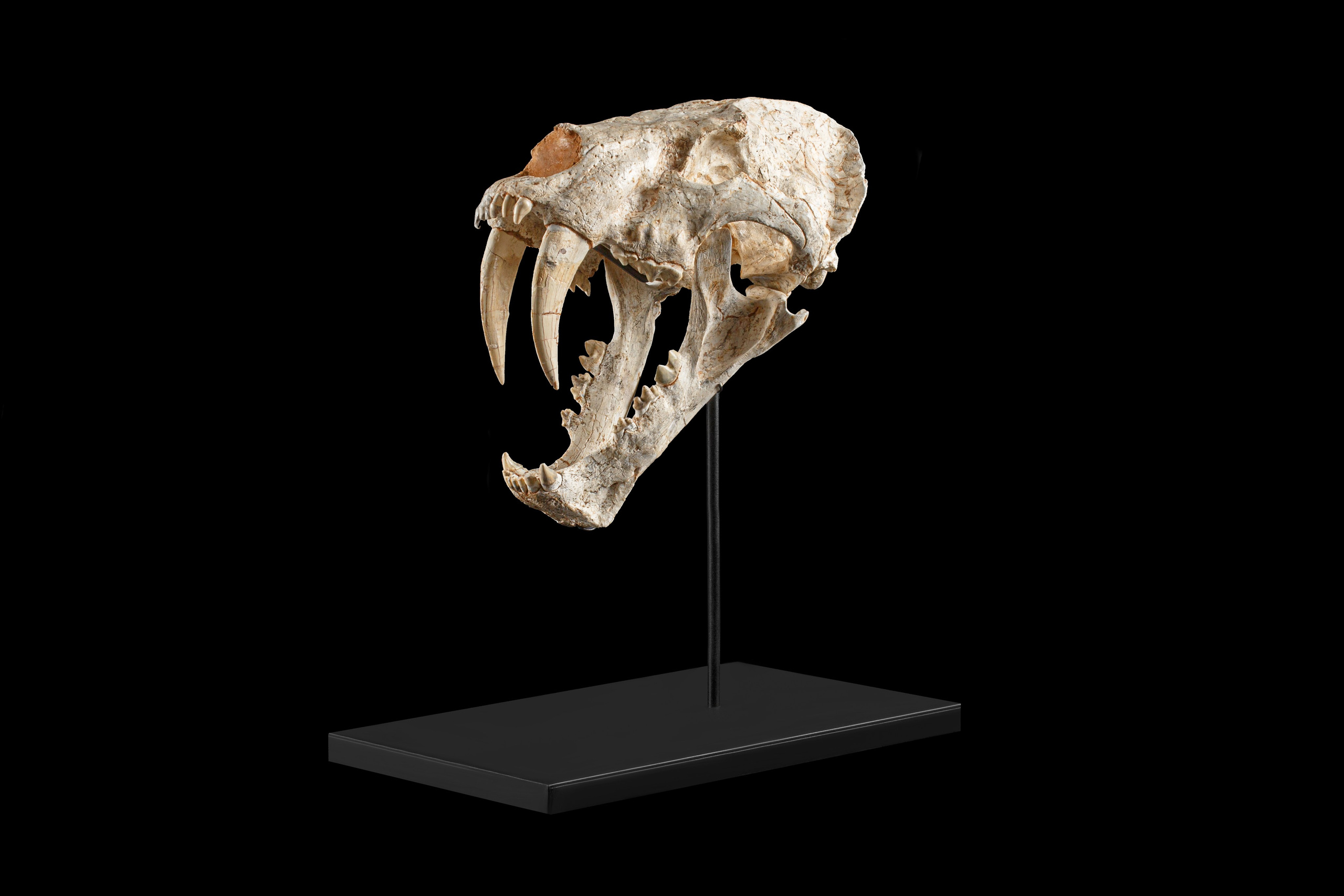 Профессиональная обработка натуральных камней, минералов и ископаемых | Студия SVITHART