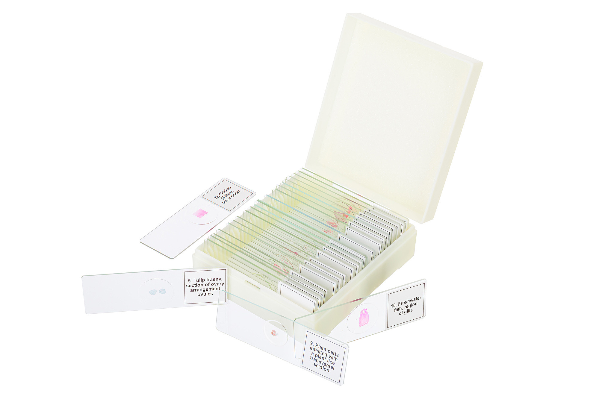 Levenhuk: фотосъемка микропрепаратов. Рекламный и предметный фотограф Марченков Антон