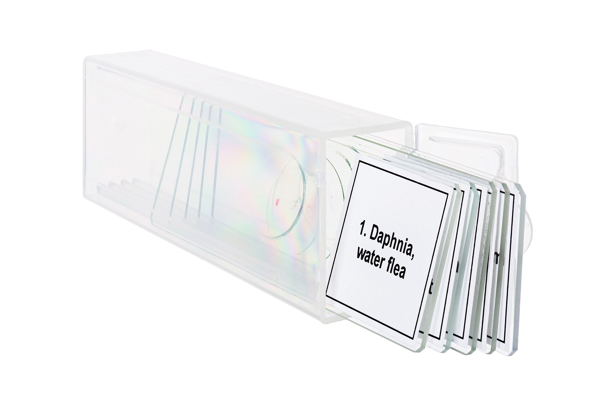 Levenhuk: фотосъемка микропрепаратов. Рекламный и предметный фотограф Марченков Антон