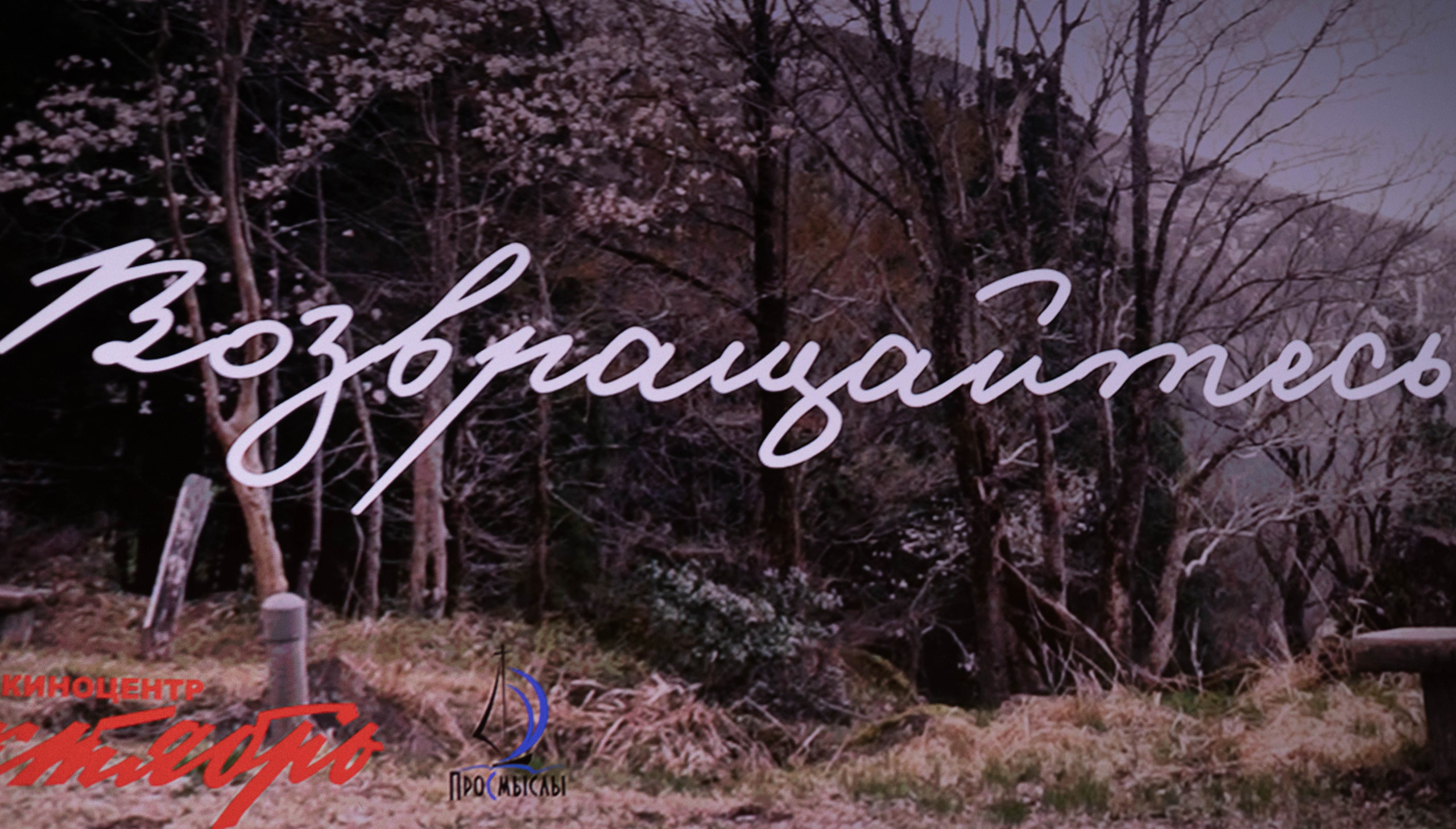 Протоиерей Сергий Баранов. Артеменкова Анна Фотограф