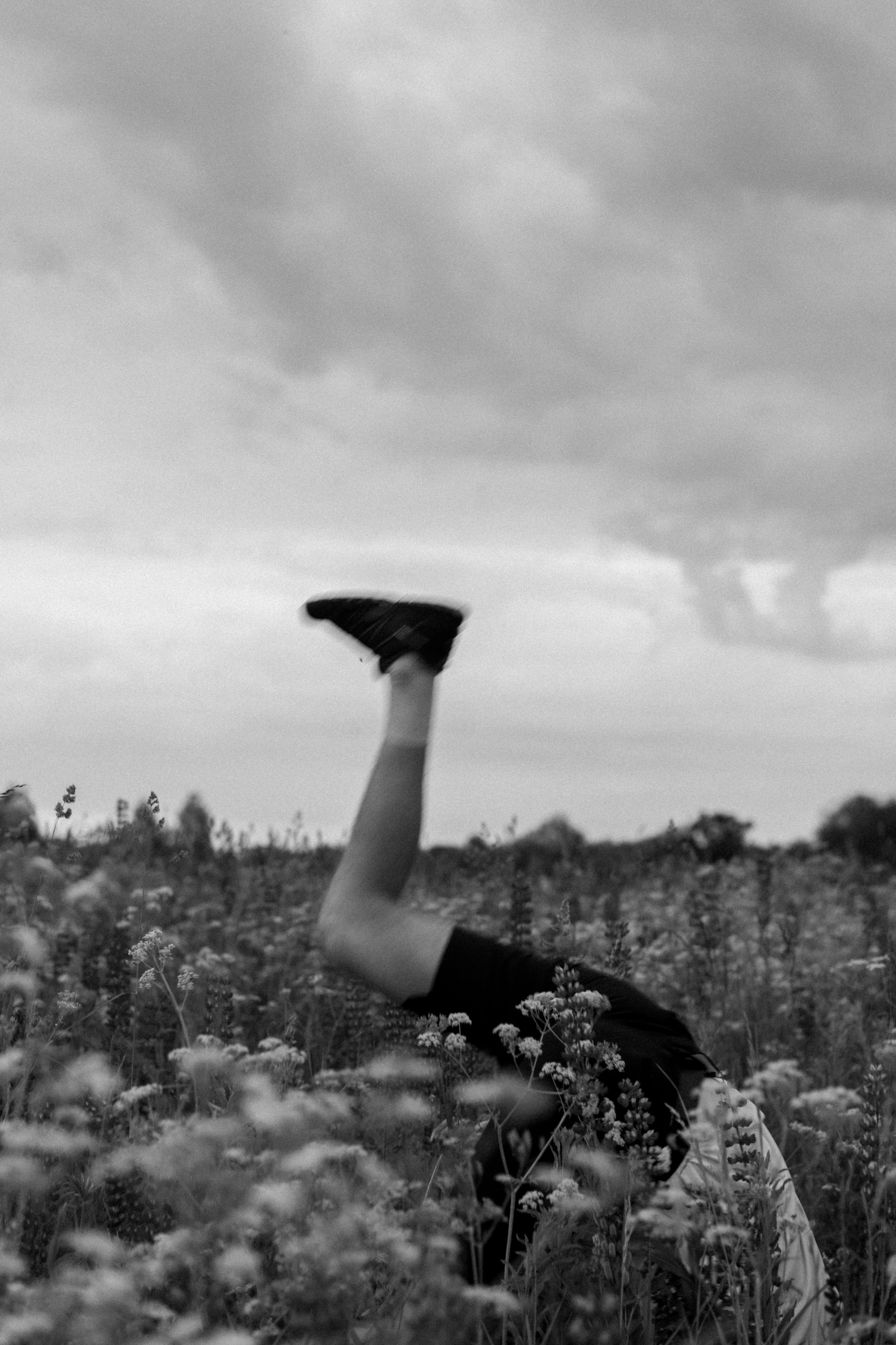 В поле люпинов. Фотограф Елизавета Потешкина