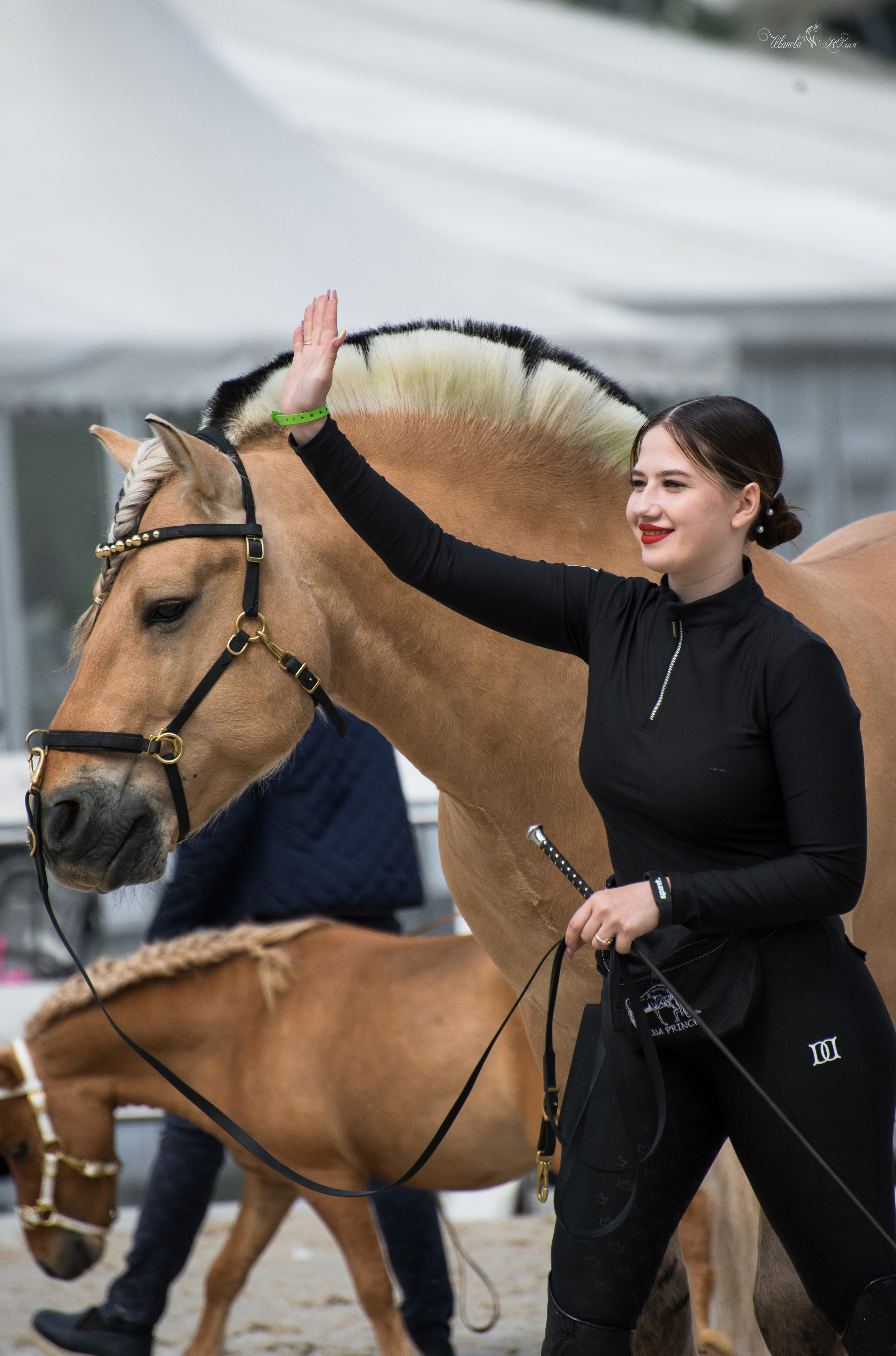 Эквирос, Москва. Конный фотограф в Саратове Юлия Иванова