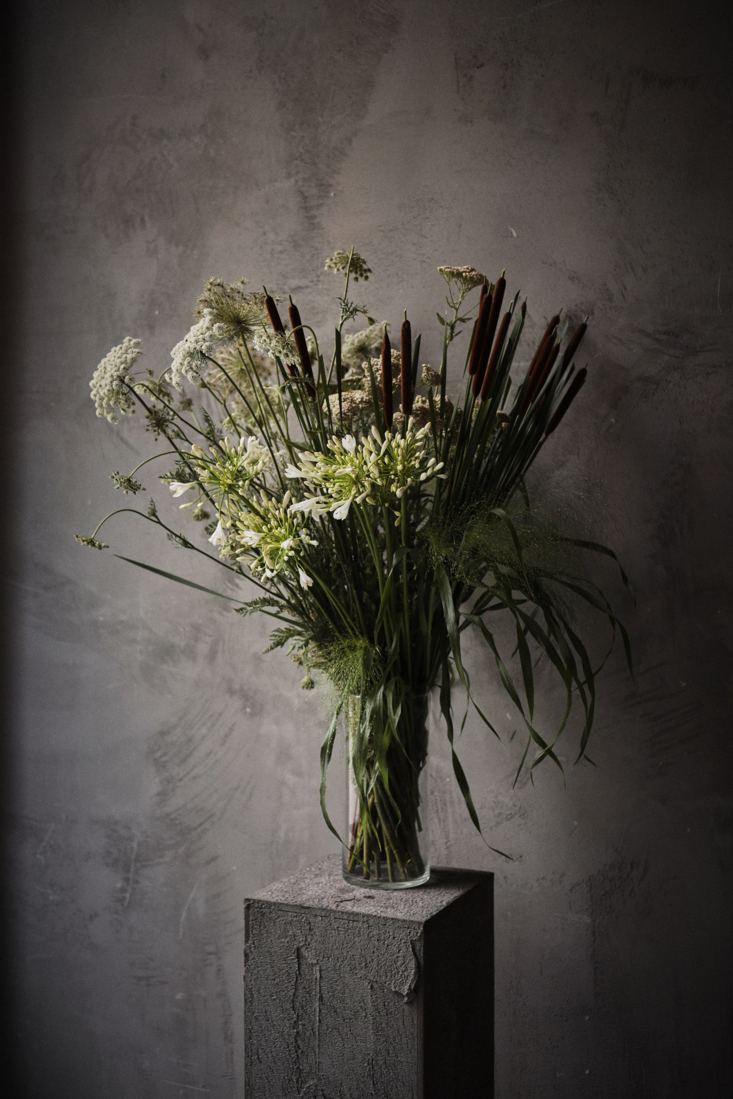 Flowers. Виктория Калугина — фотограф и видеомейкер в Москве