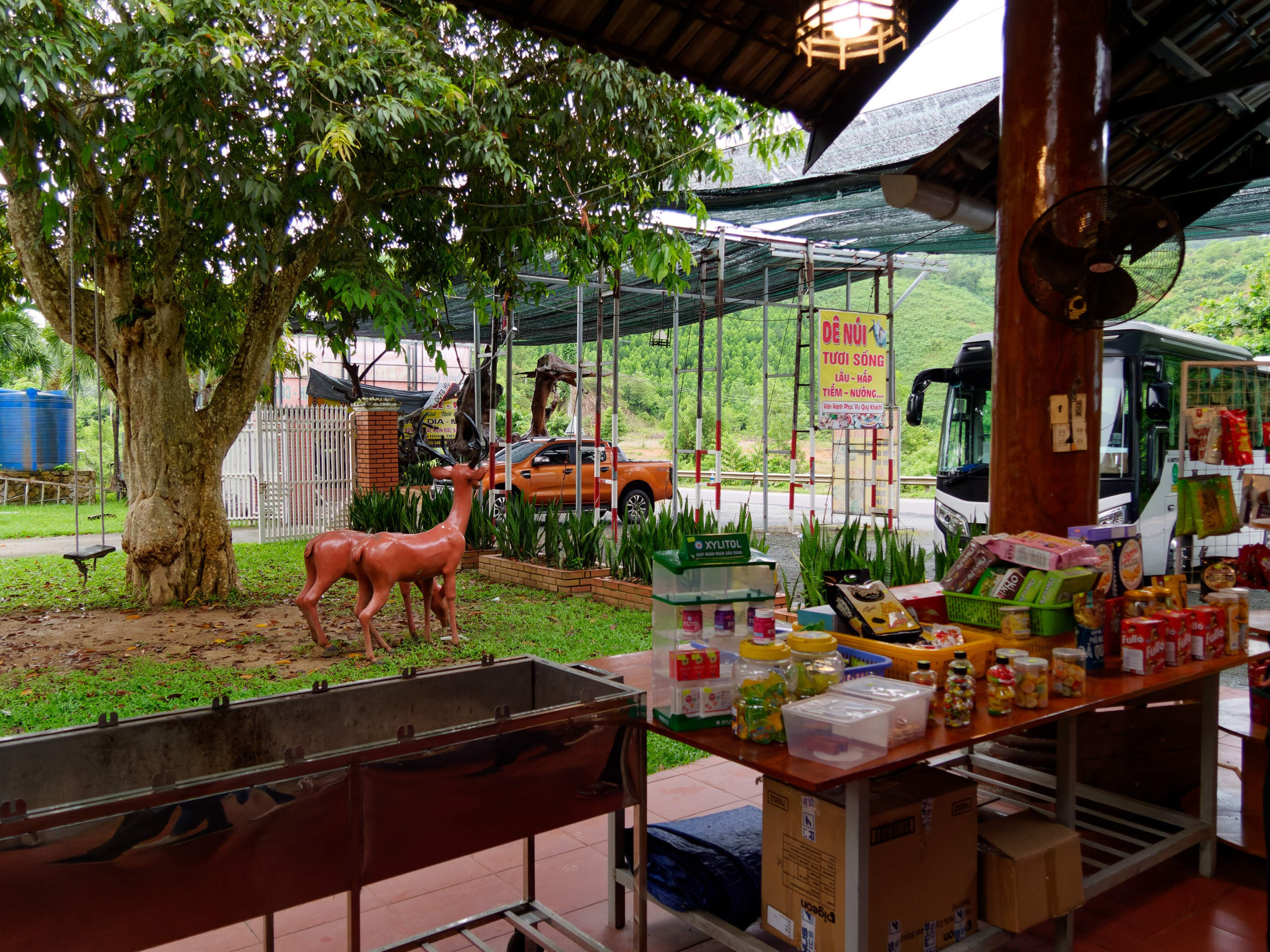 Далат 2023. Избранные фотографии