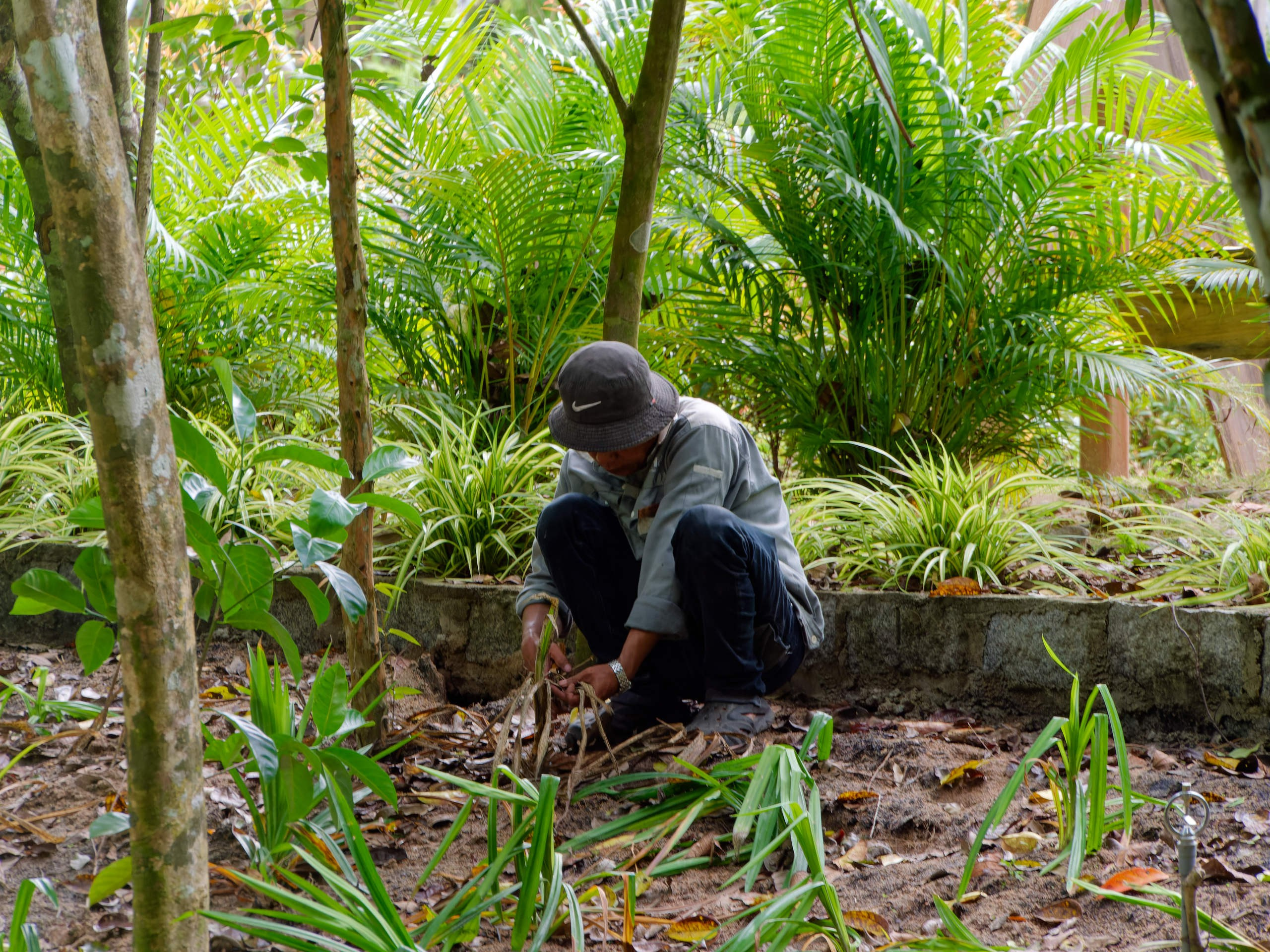 Нячанг 2025 (5). Избранные фотографии