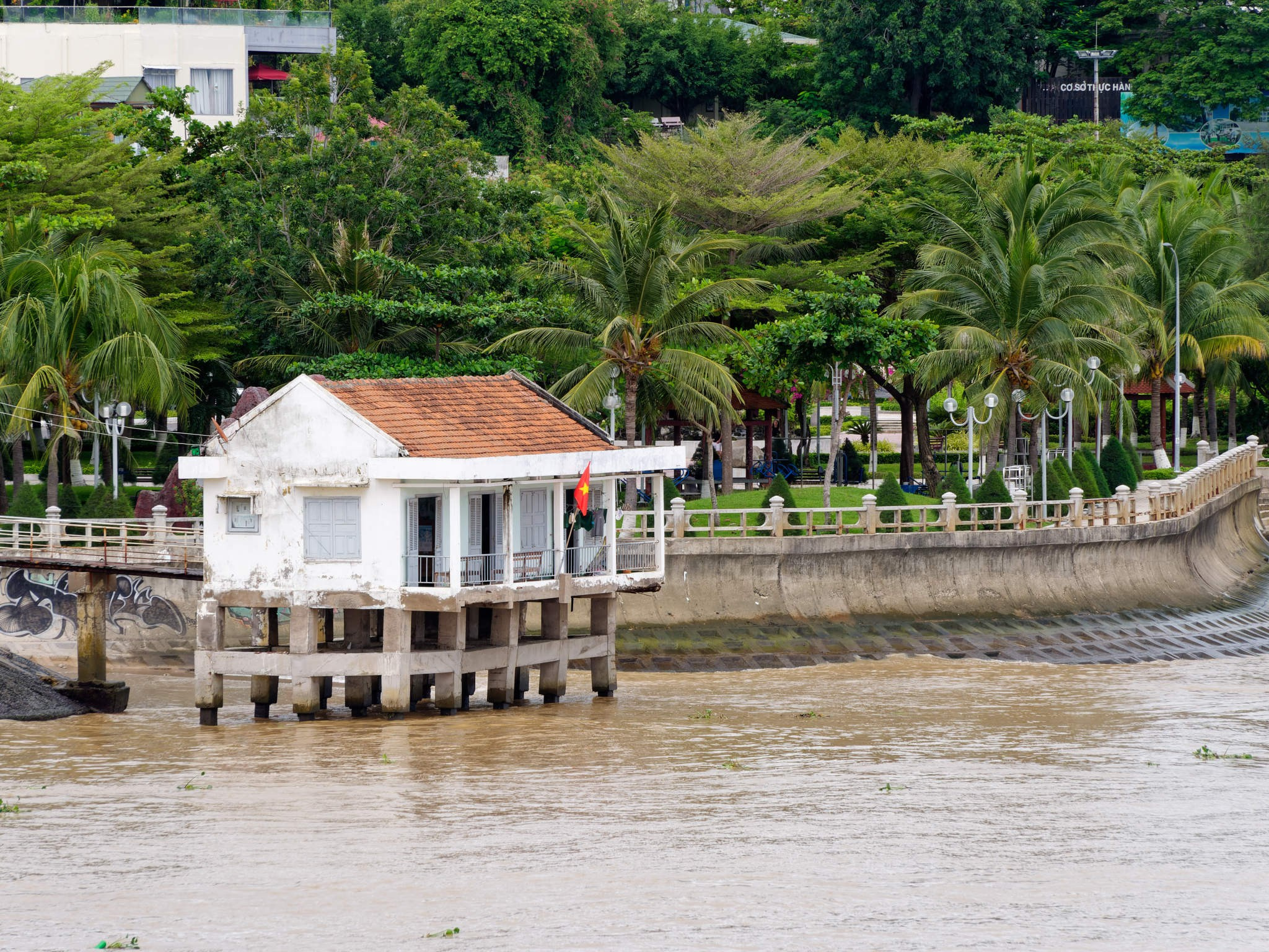 Нячанг 2023. Избранные фотографии