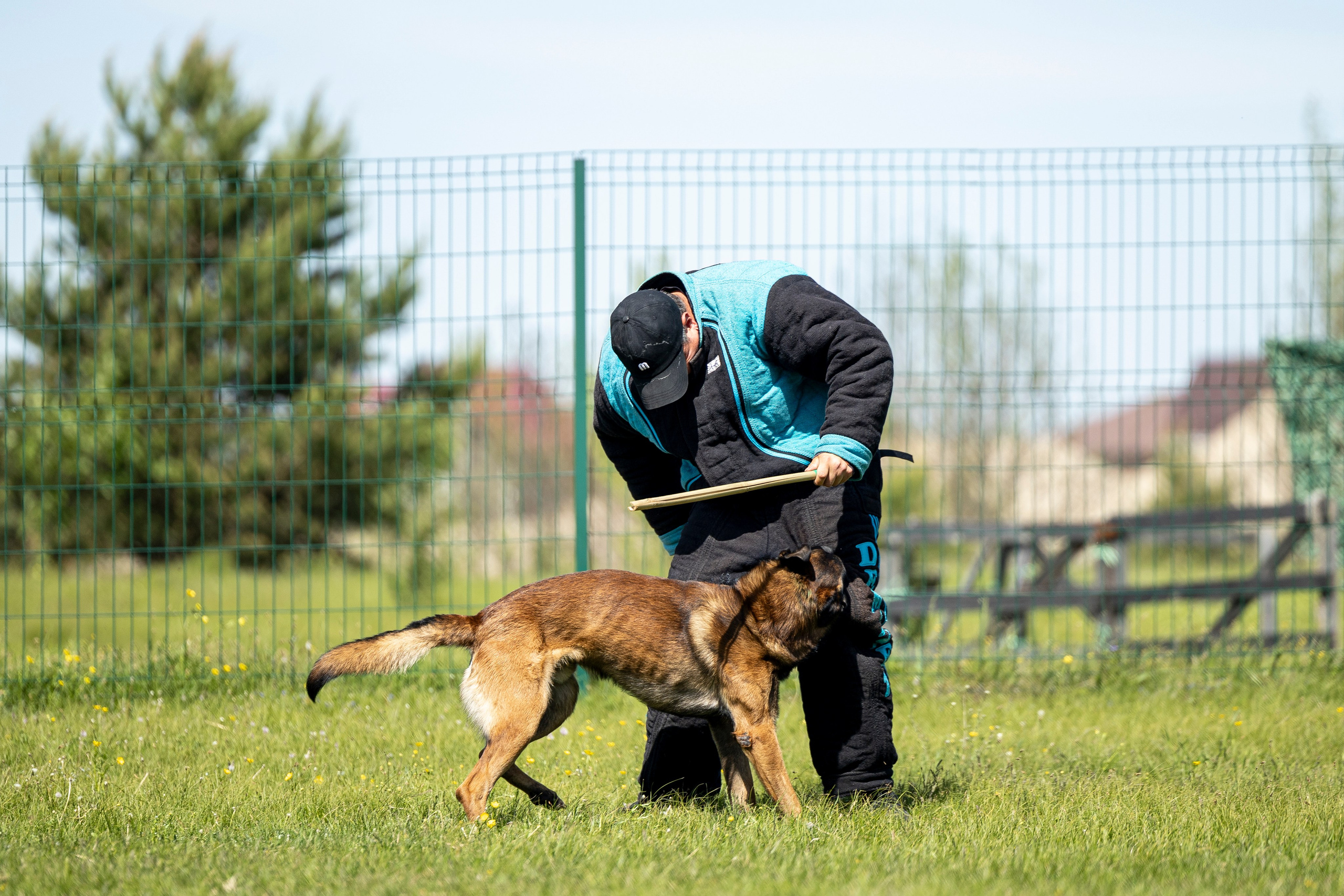 Испытания по мондьорингу в Нижнем Новгороде. Фотограф-анималист Анна Маринич
