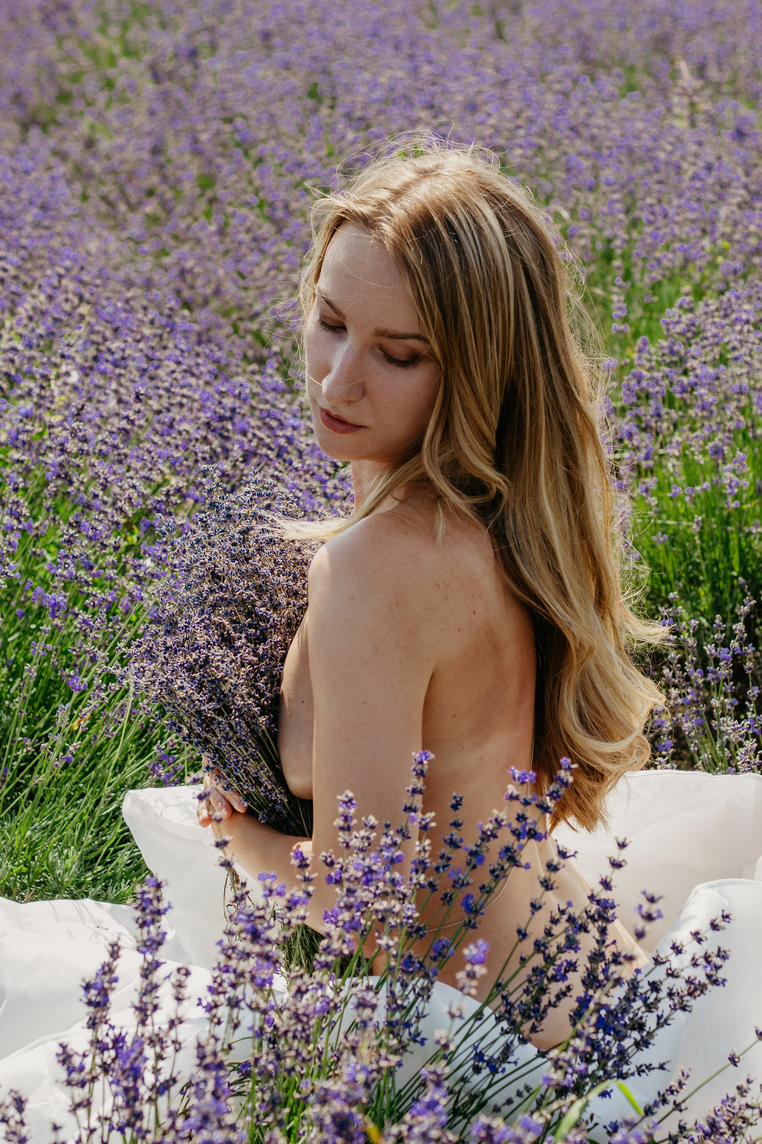 Лаванда. Главная