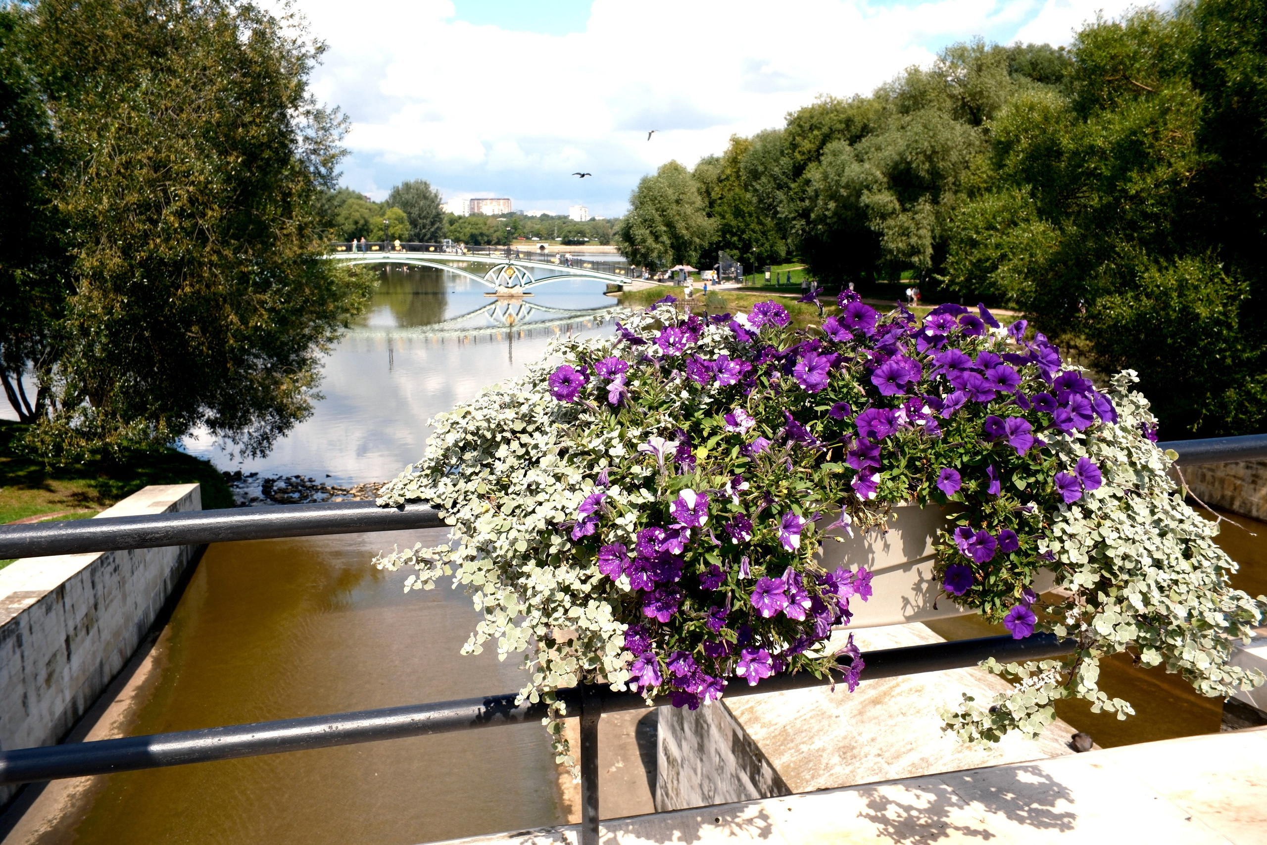 Царицыно 10.08.2025. Улица, люди, жизнь…