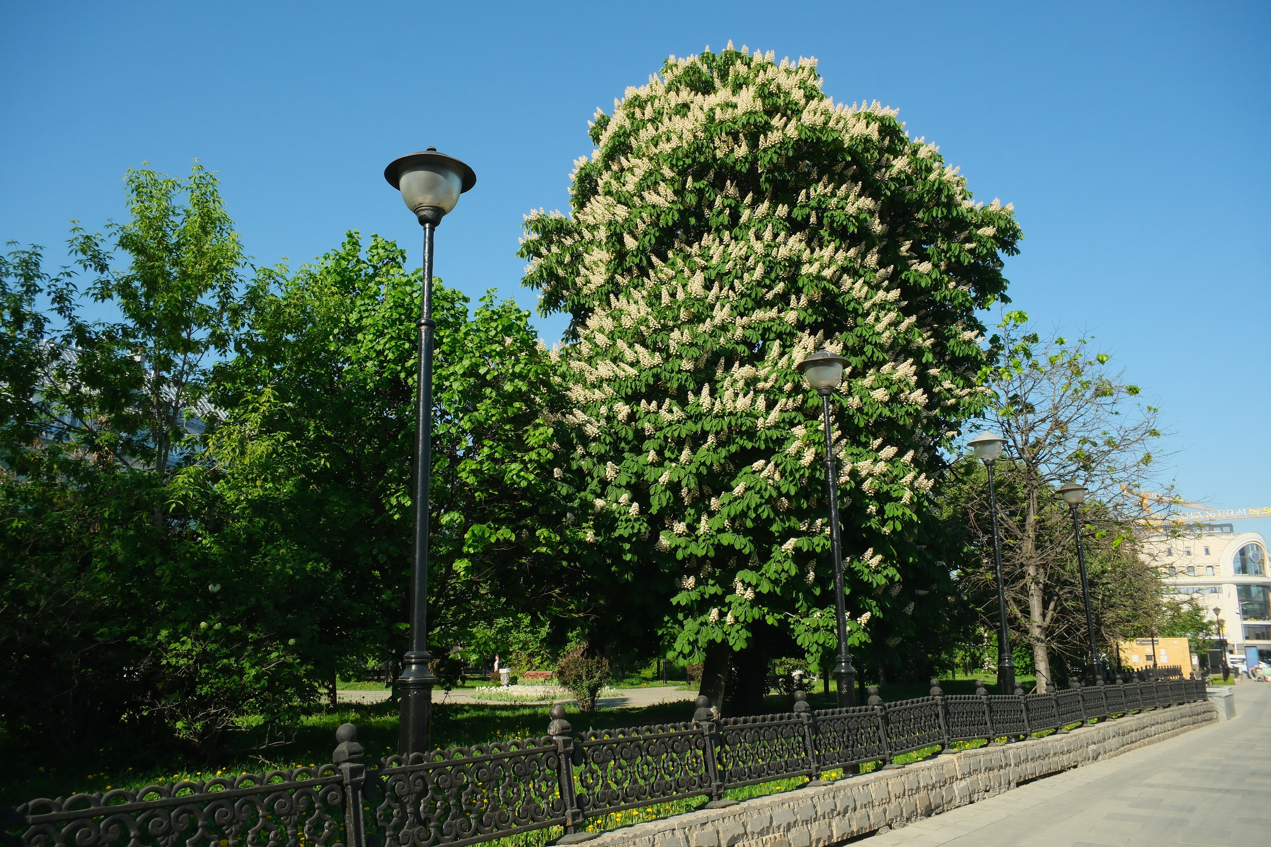 Улица, люди, жизнь…