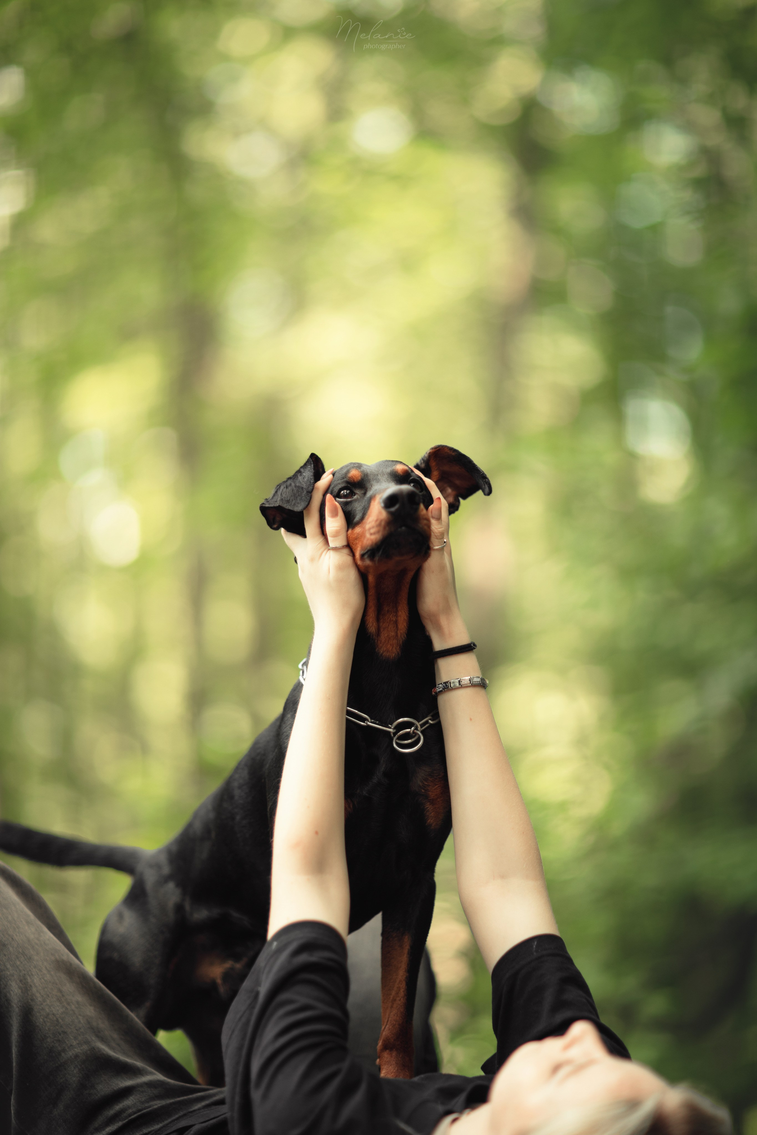 Фотосессия Шерлока. Фотограф-анималист в Москве Дорн Мелани