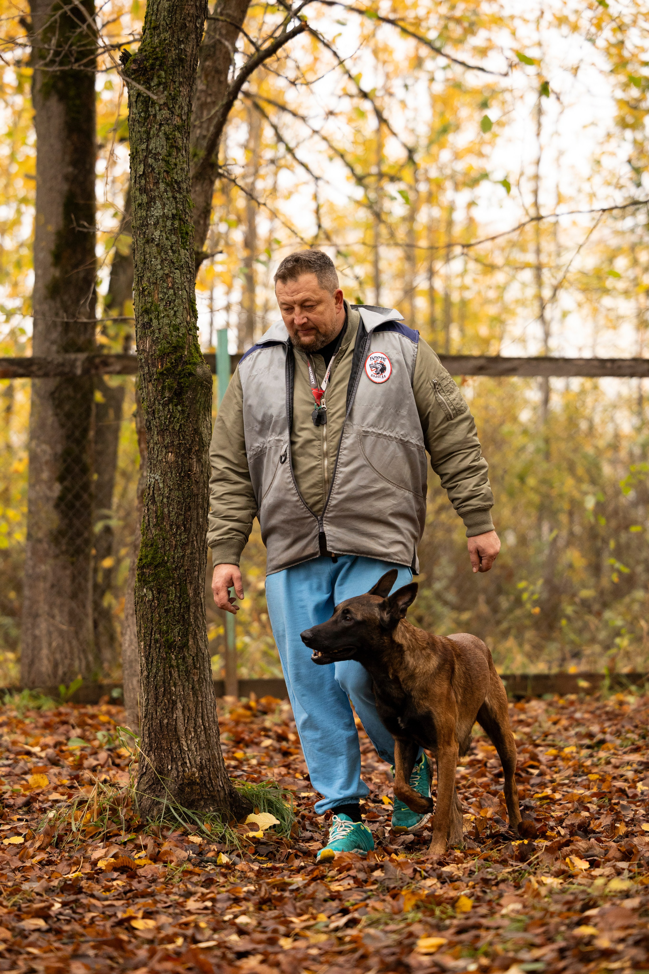 Соревнования по Мондьорингу г. Вологда. Фотограф-анималист Анна Маринич