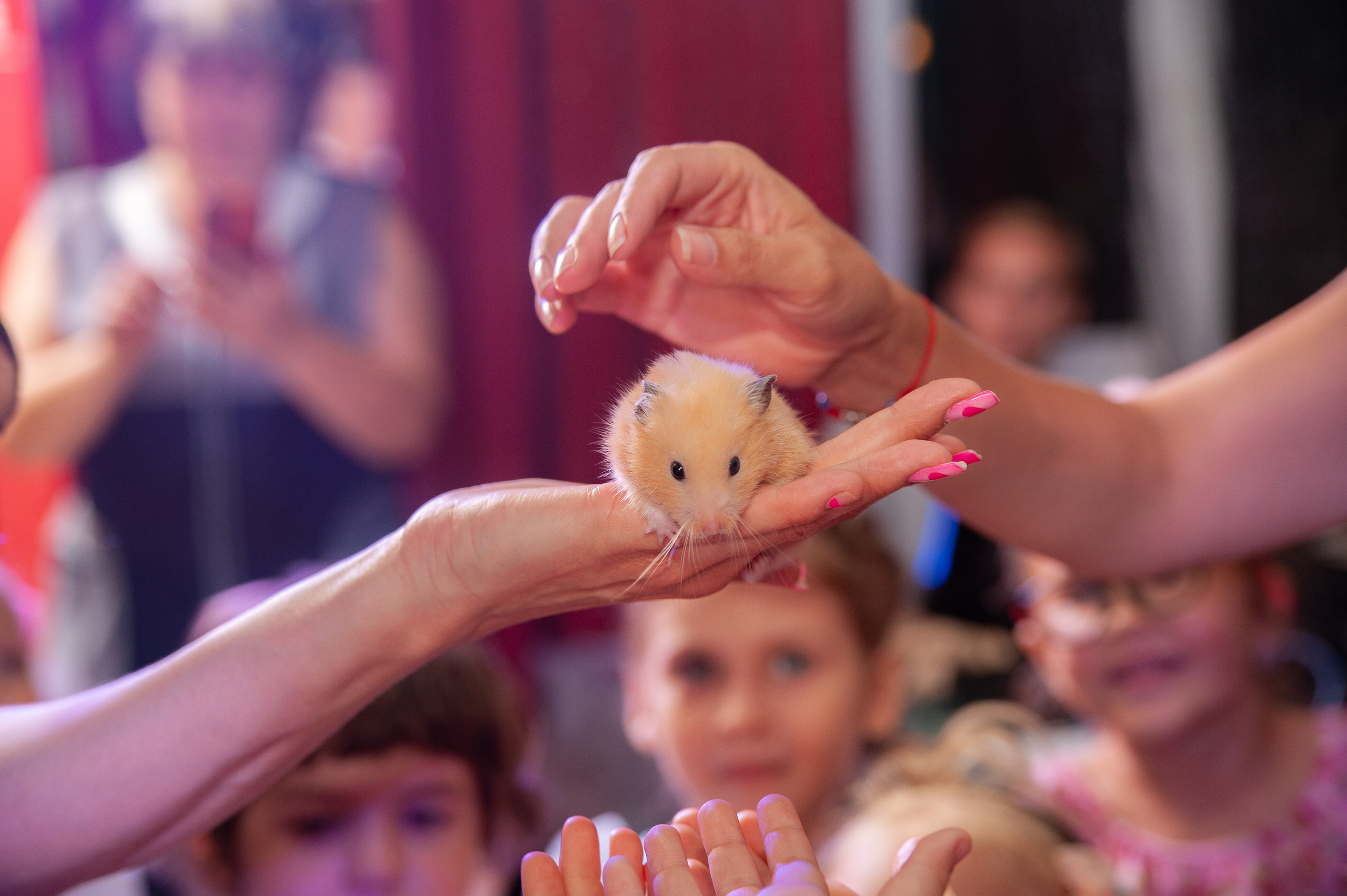 Детские дни рождения. Семейный фотограф Анна Лищук г. Таганрог