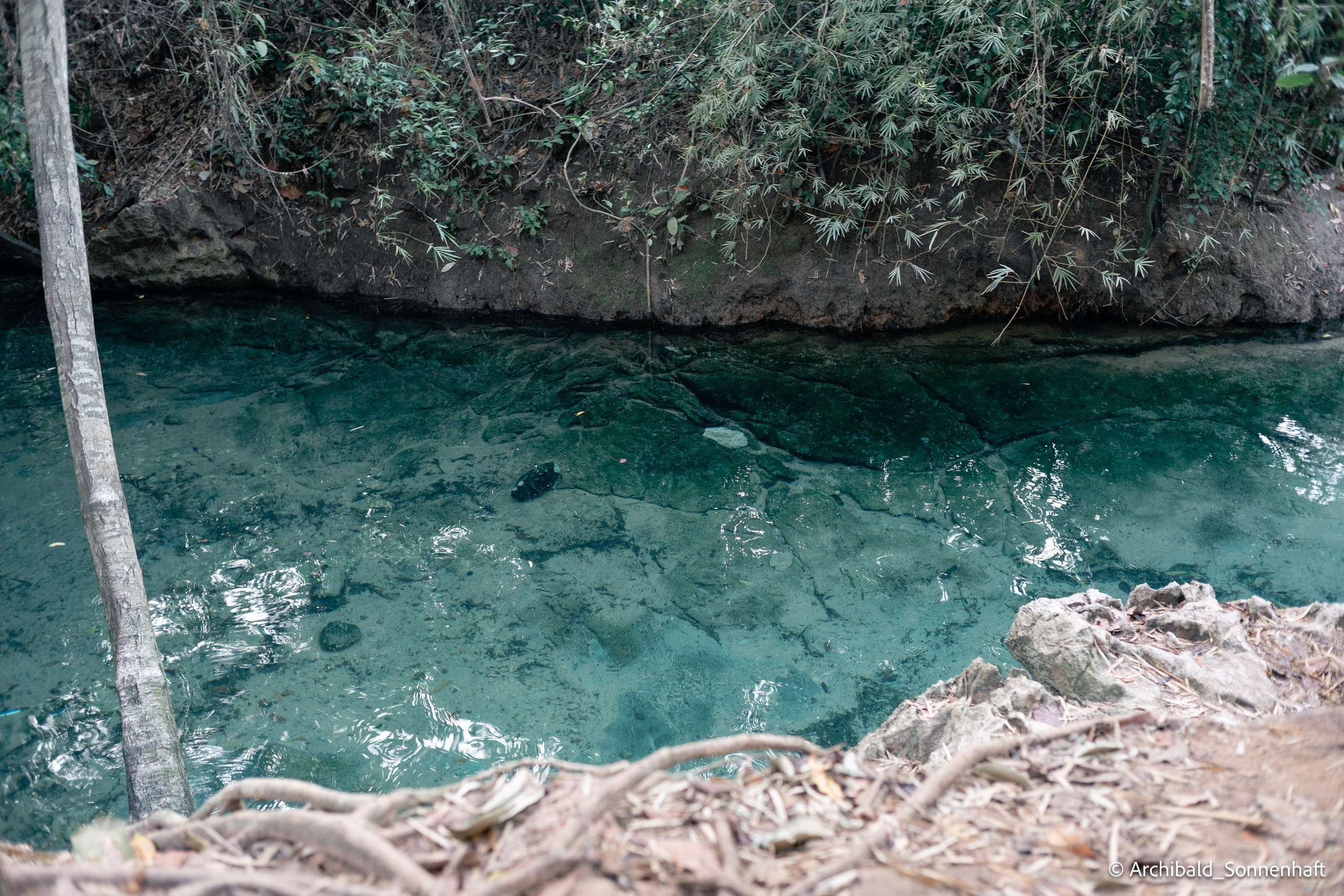 Thai monk. Photographer in Guangzhou, China. Archibald Sonnenhaft