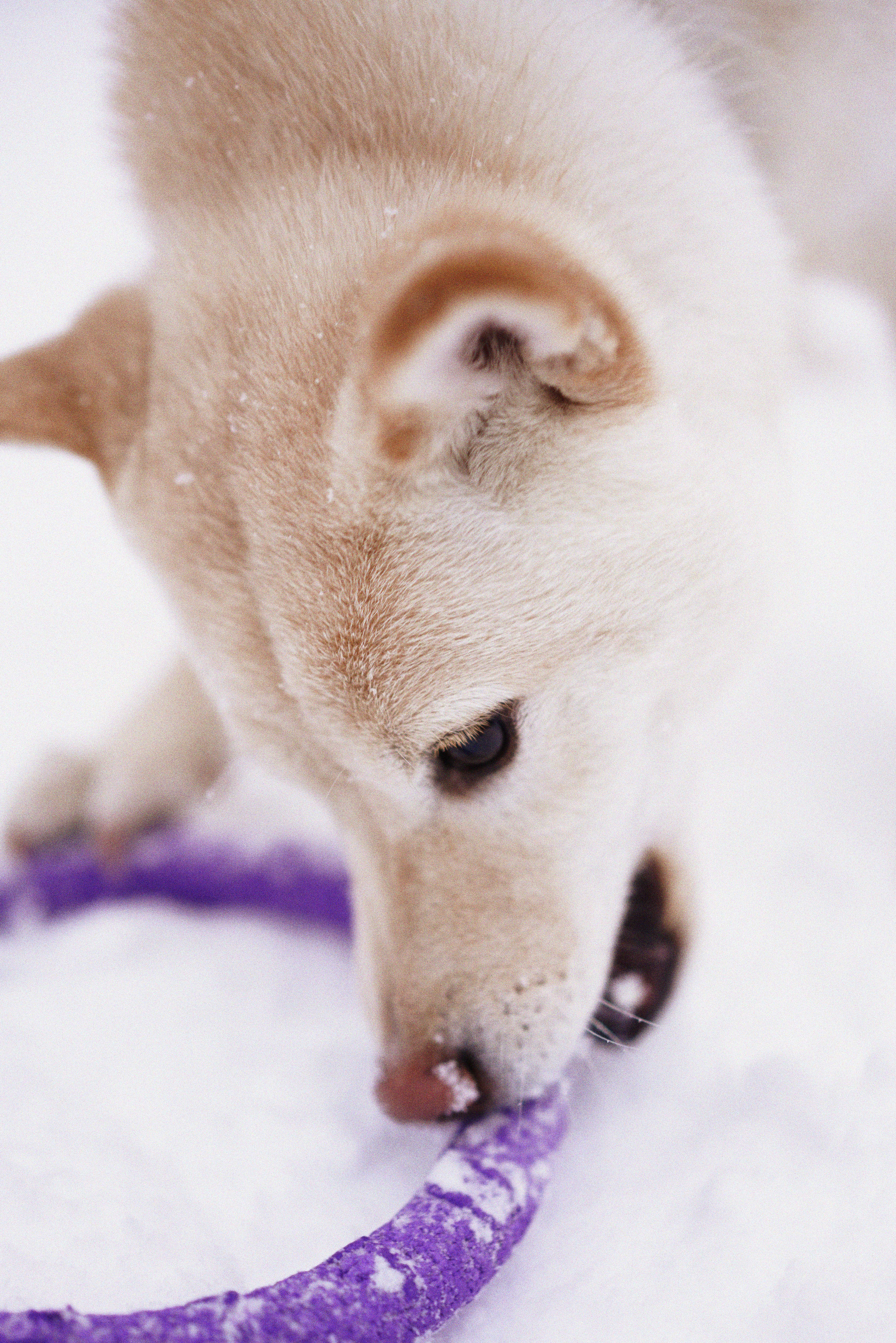 Николь+Земфира. Фотограф Казань