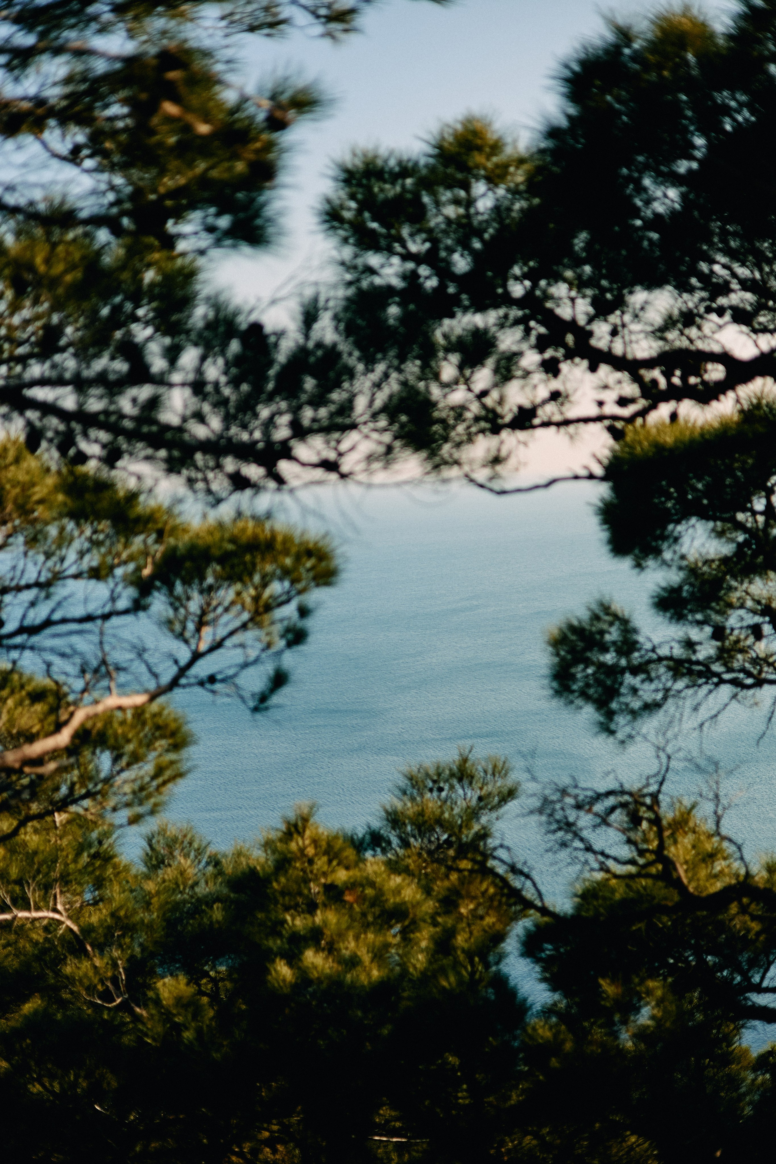 Юг России. Профессиональный Фотограф во Владимире, в Москве и в Суздале — Полина Романычева