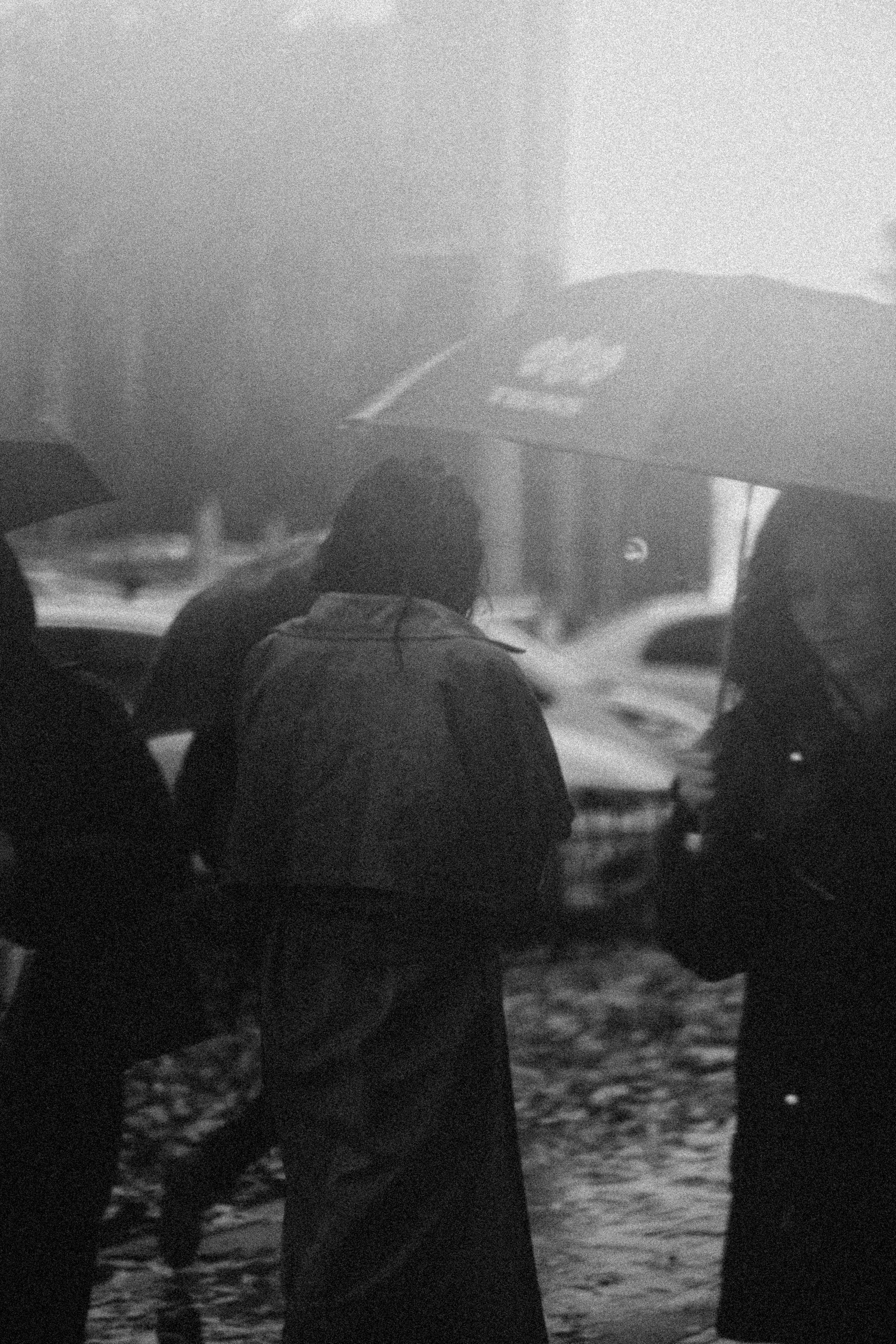 Дождь. Alesya Gee Photographer Uzbekistan