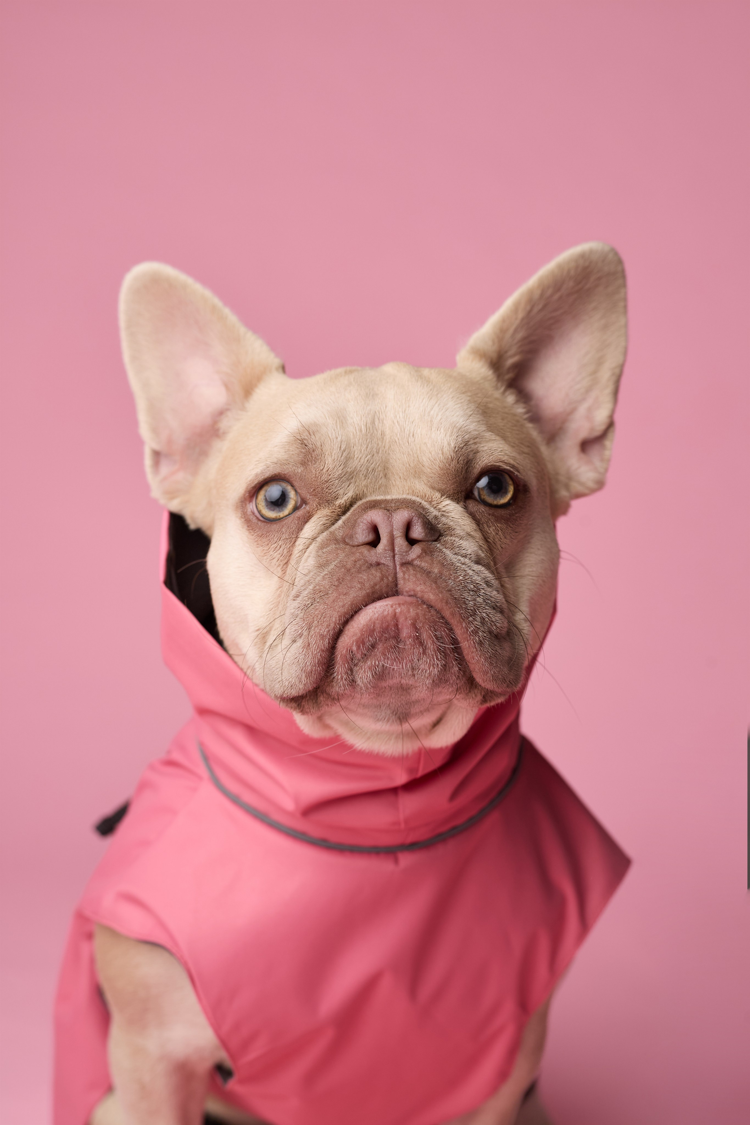 FOSY. Фотограф|Москва-СПб| Анастасия Рябинина