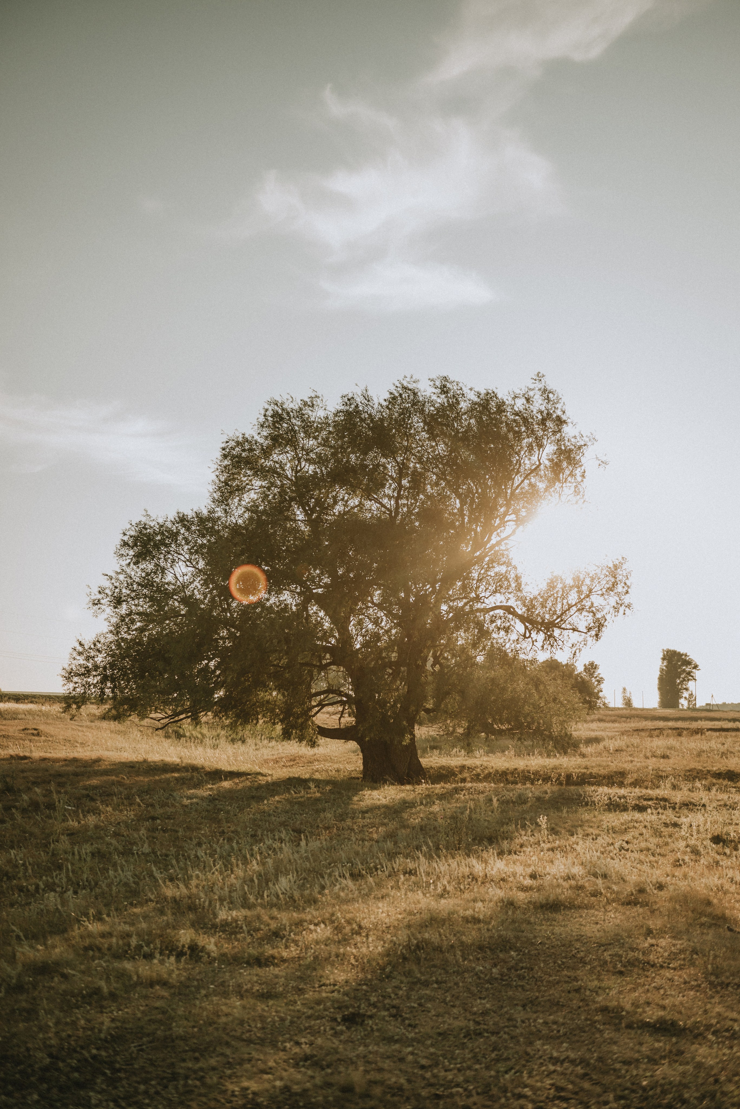 Эльнур и Полина. Фотограф Филякин Константин