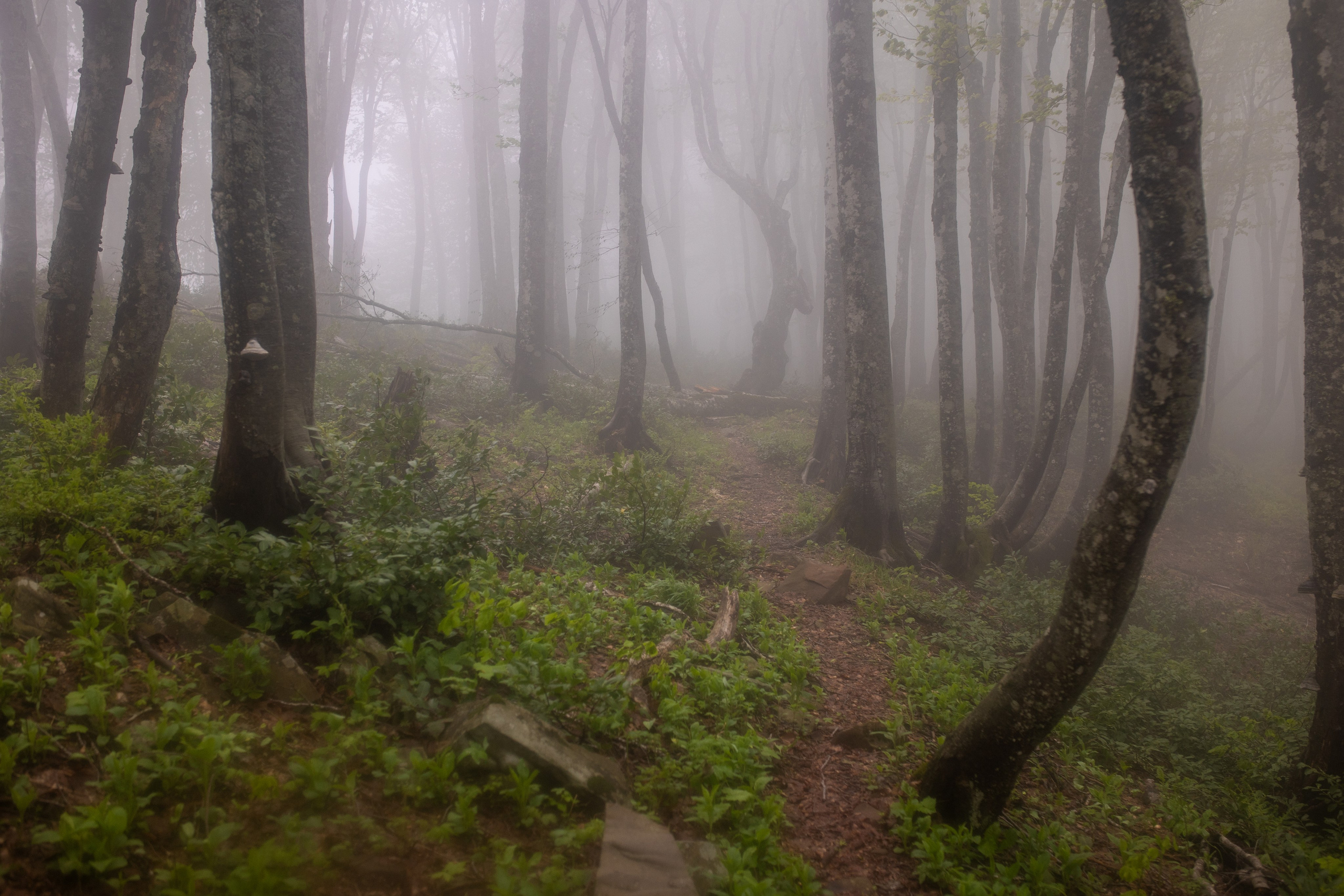 Грачев Венец. Тревел-фотограф Олег Гуров