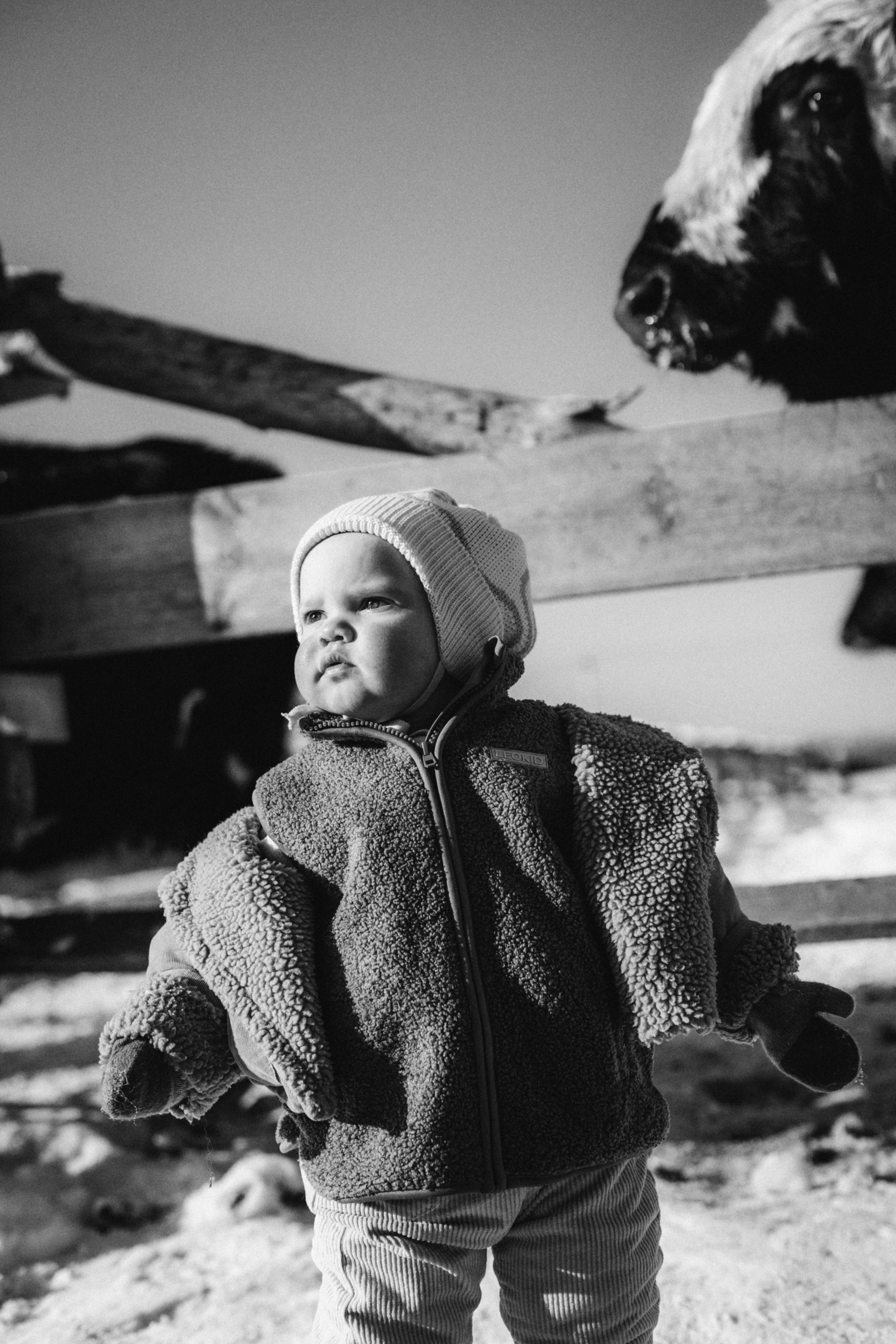 Настя с Сашей и Полей на ферме. Klerout Photographer