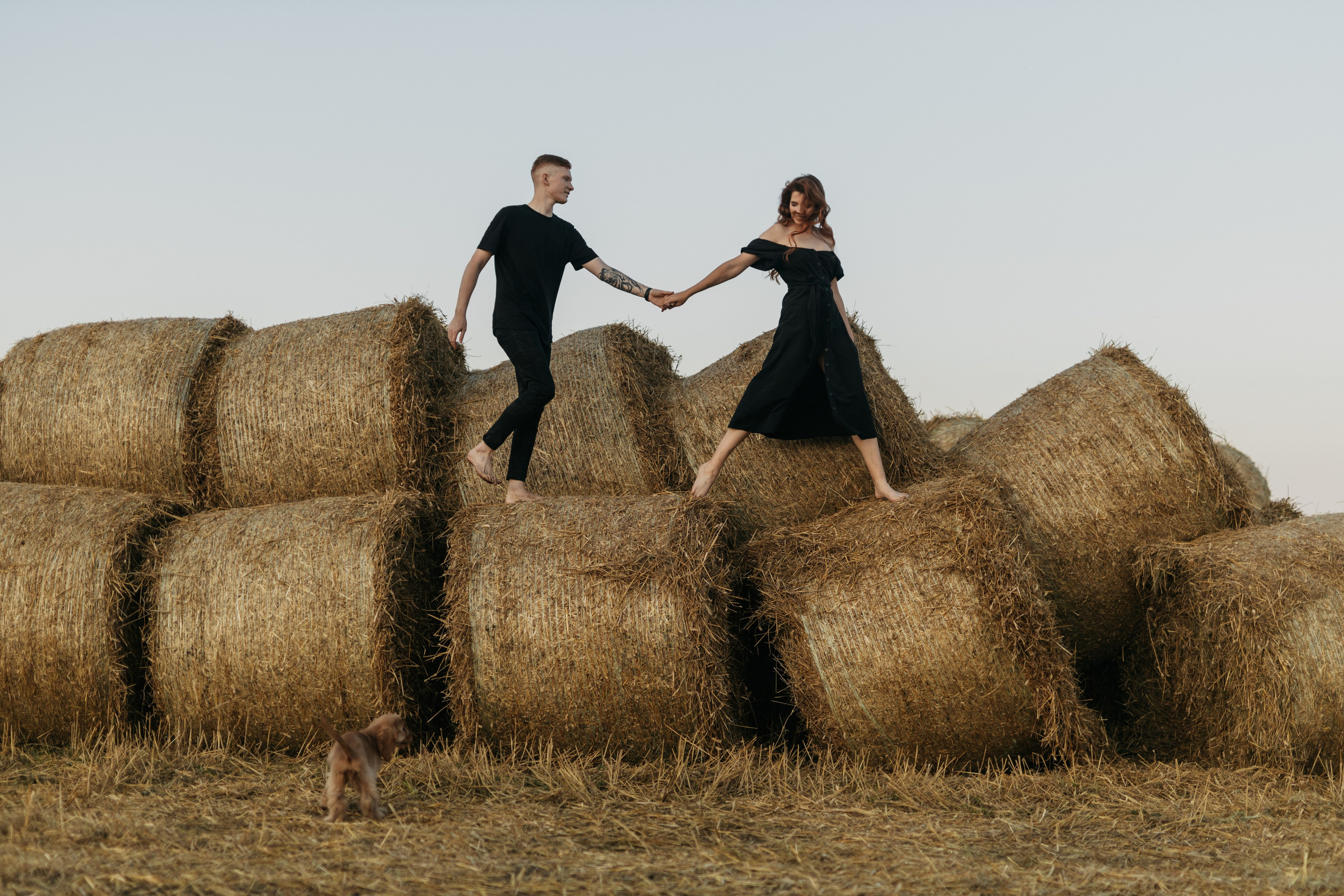 Лиля и Никита. Свадебный и портретный фотограф в Москве, Туле и Брянске Дара Евсеева