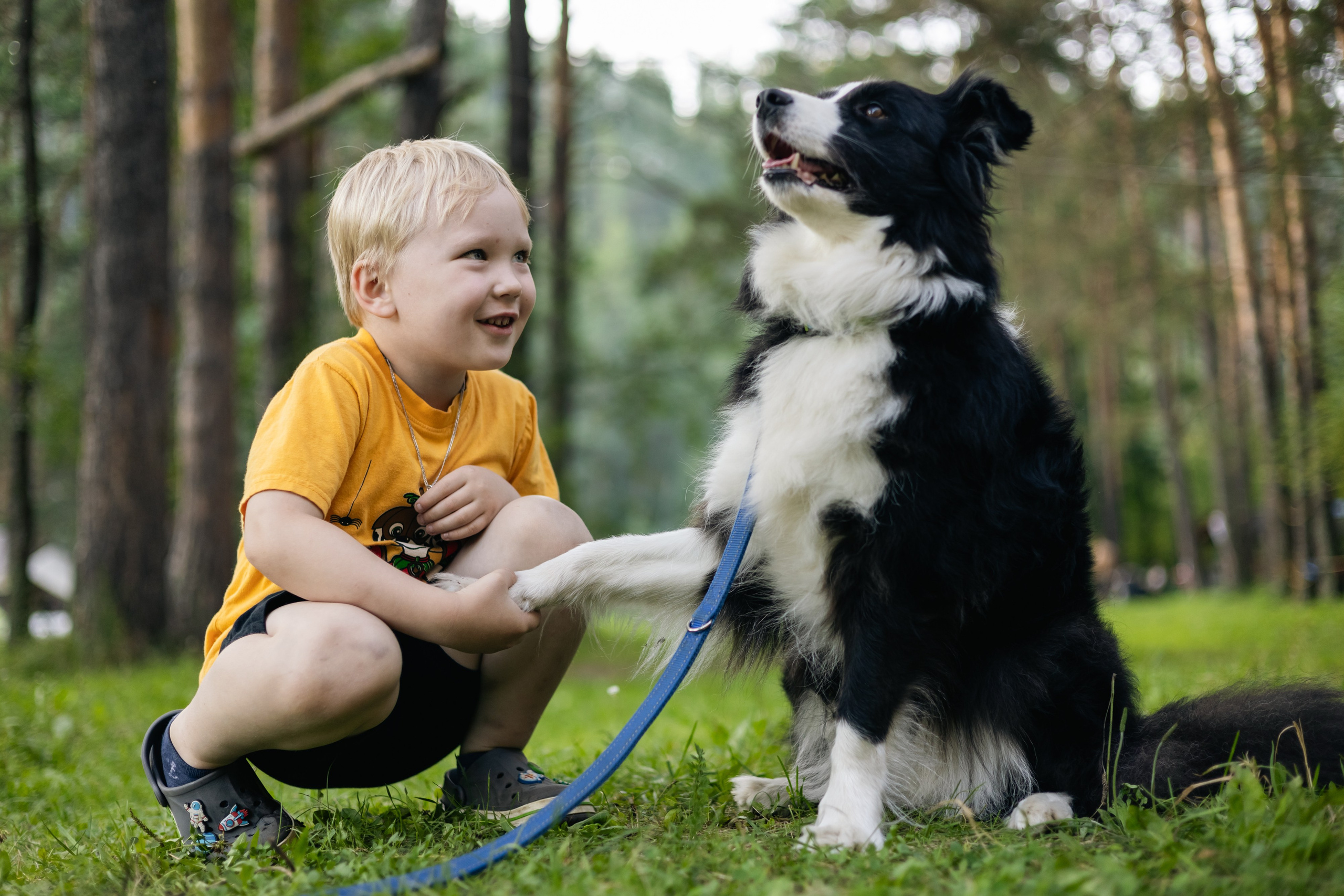 VI ОТКРЫТЫЕ КИНОЛОГИЧЕСКИЕ СОРЕВНОВАНИЯ. ЧЕЛЯБИНСКАЯ ОБЛАСТЬ 2025. Репортажный фотограф Наталья Лапцевич