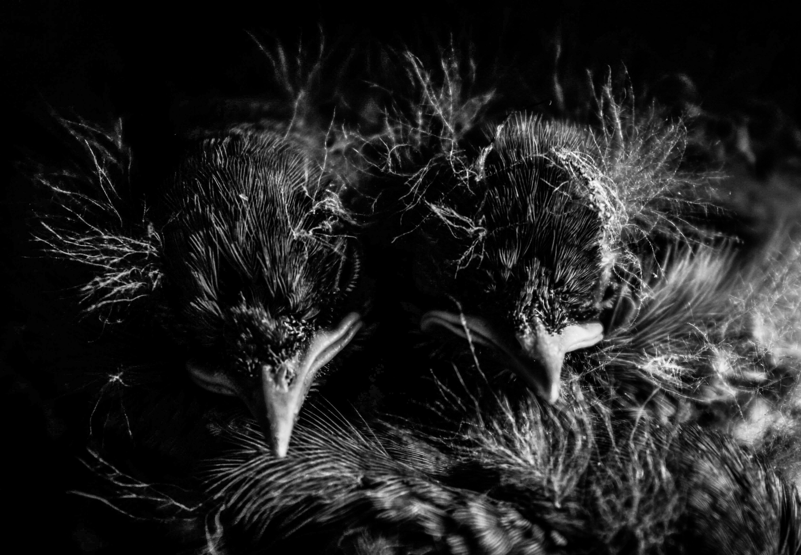 Природа. Глеб Захаренко — спортивный и репортажный фотограф в Крыму