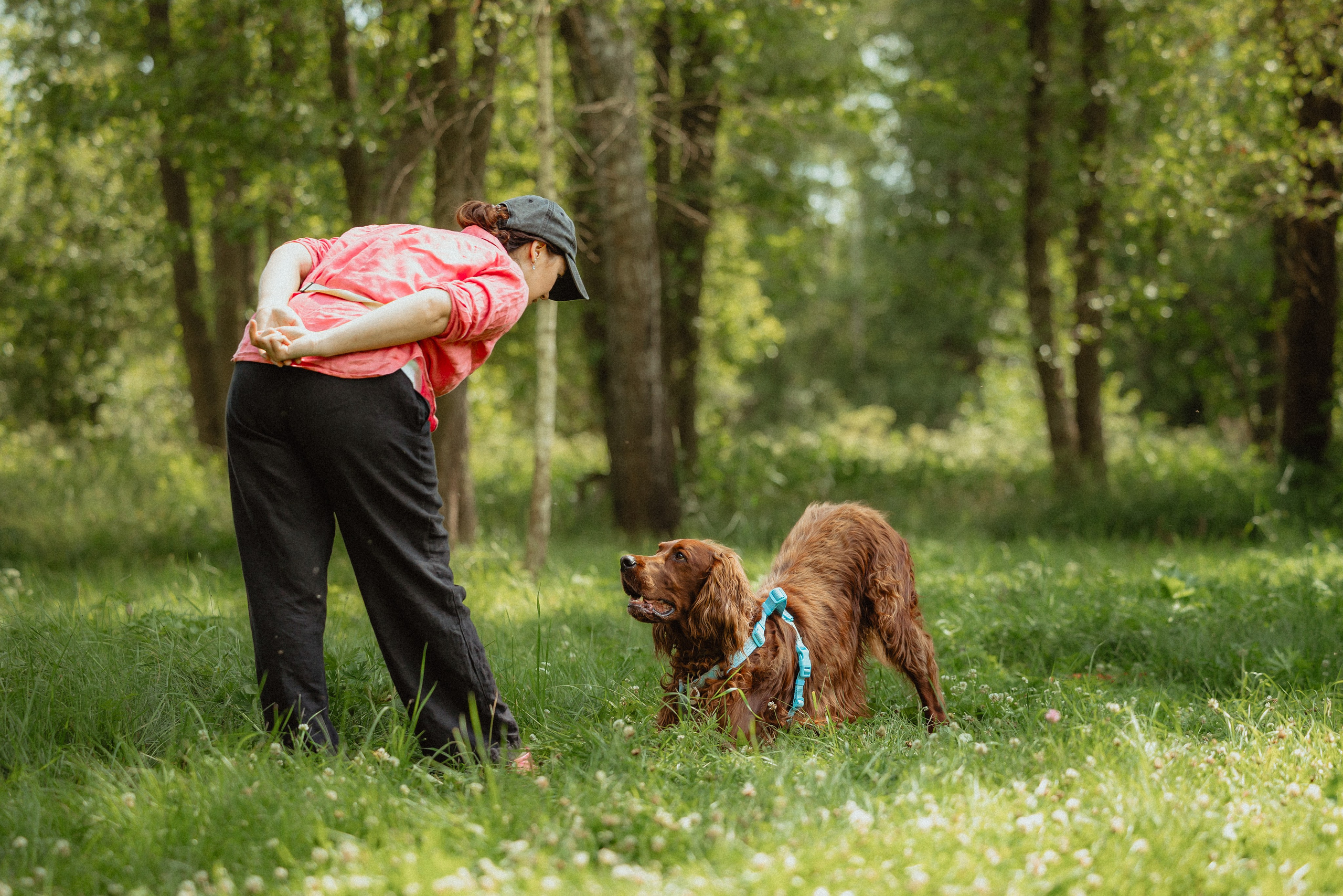 Выездной дог-тренинг от школы «Шерсть имею»