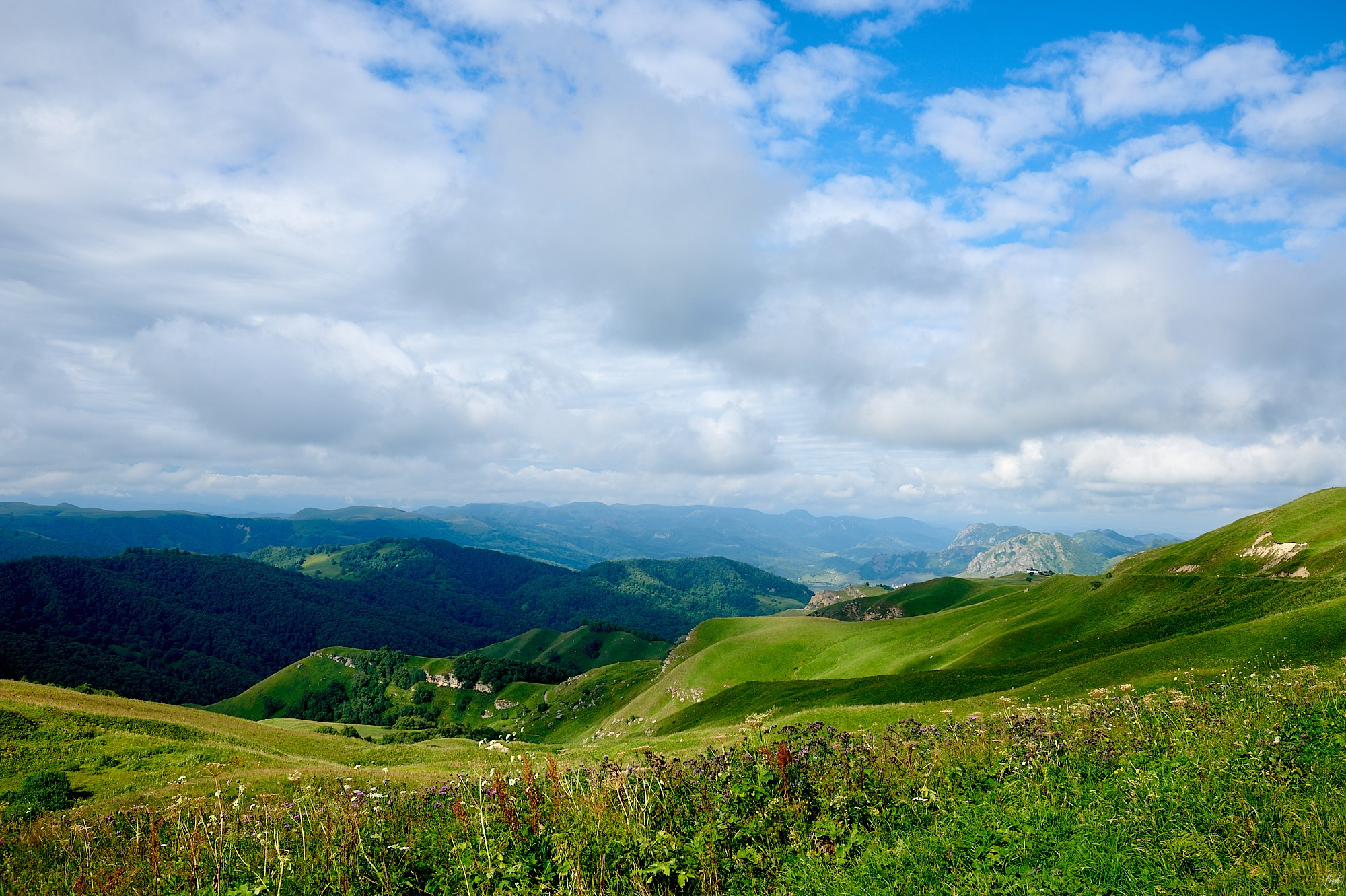 Домбай август 2024. Фотографии отовсюду и обо всем