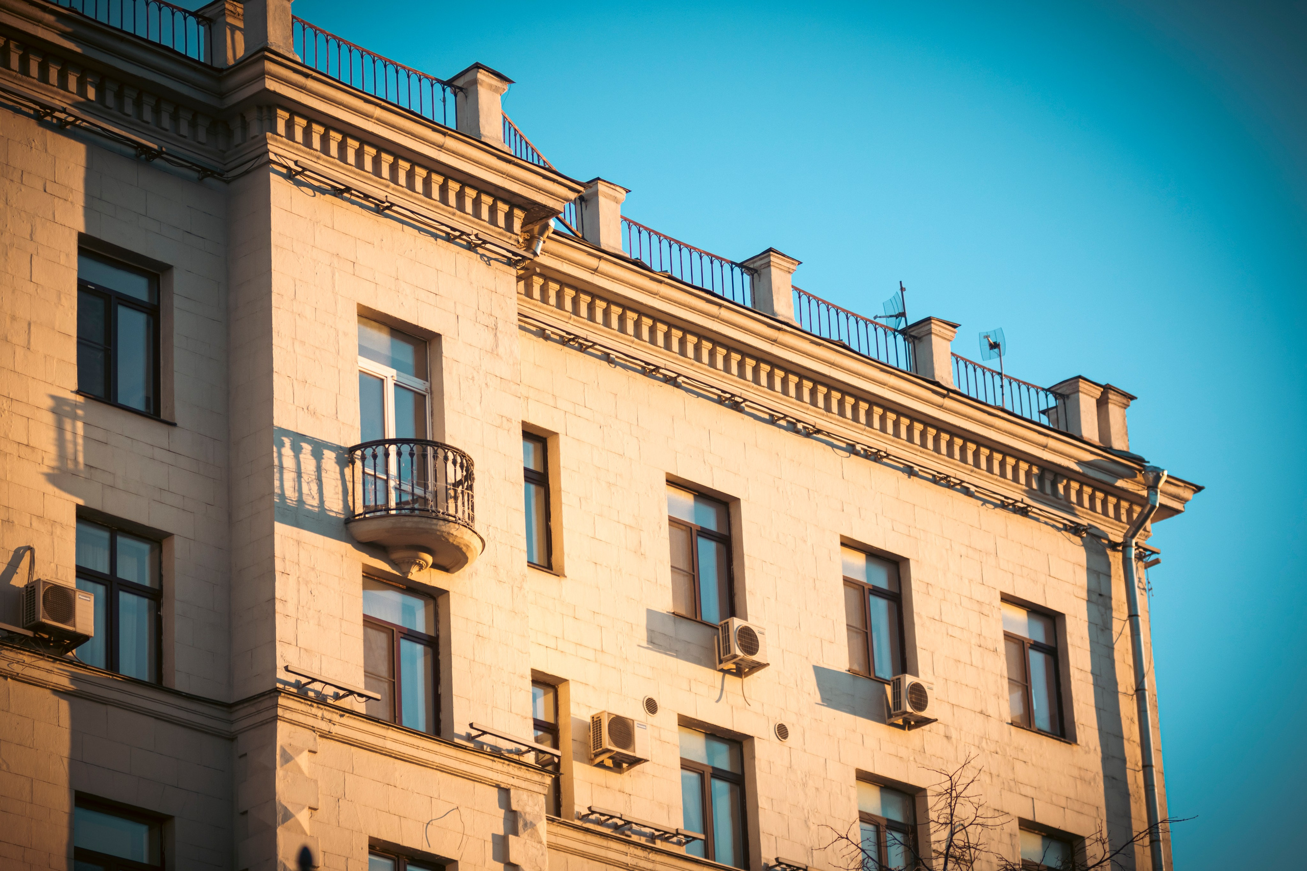 Фотограф и оператор в Москве Елизавета Коргалидзе