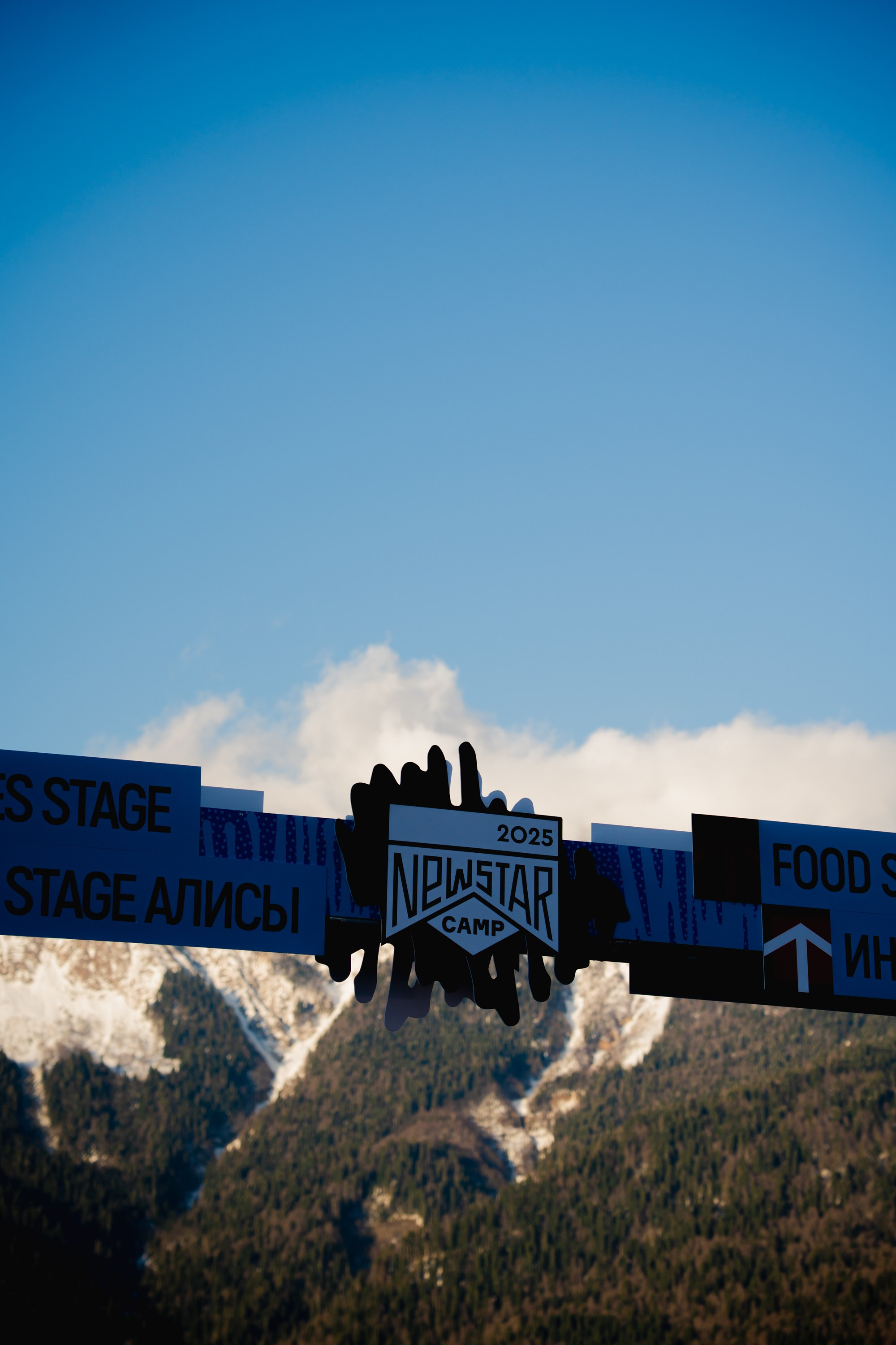 Yandex 360 & NewStarCamp