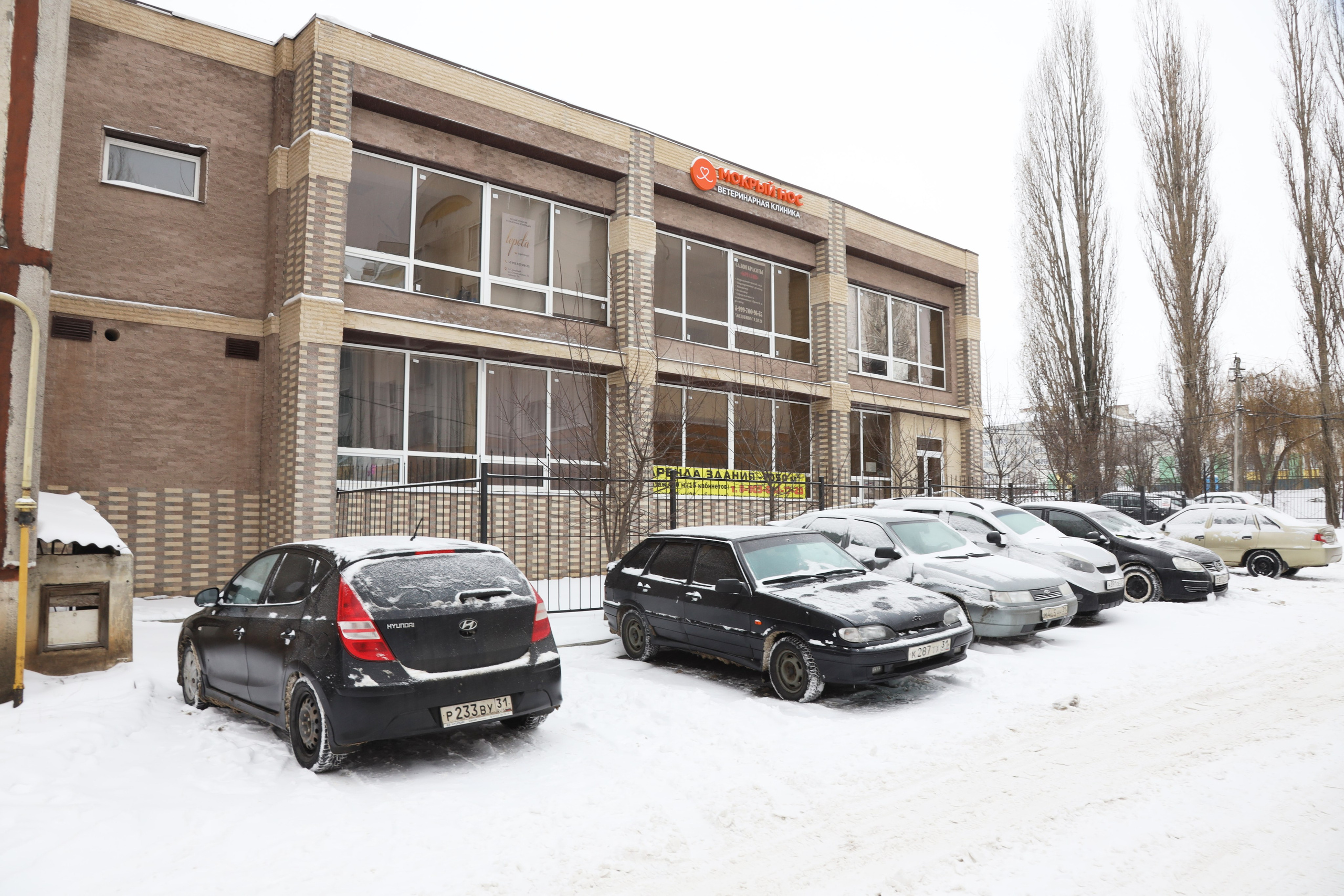 Ветеринарная клиника «Мокрый нос». Фотограф Сергей Феденко