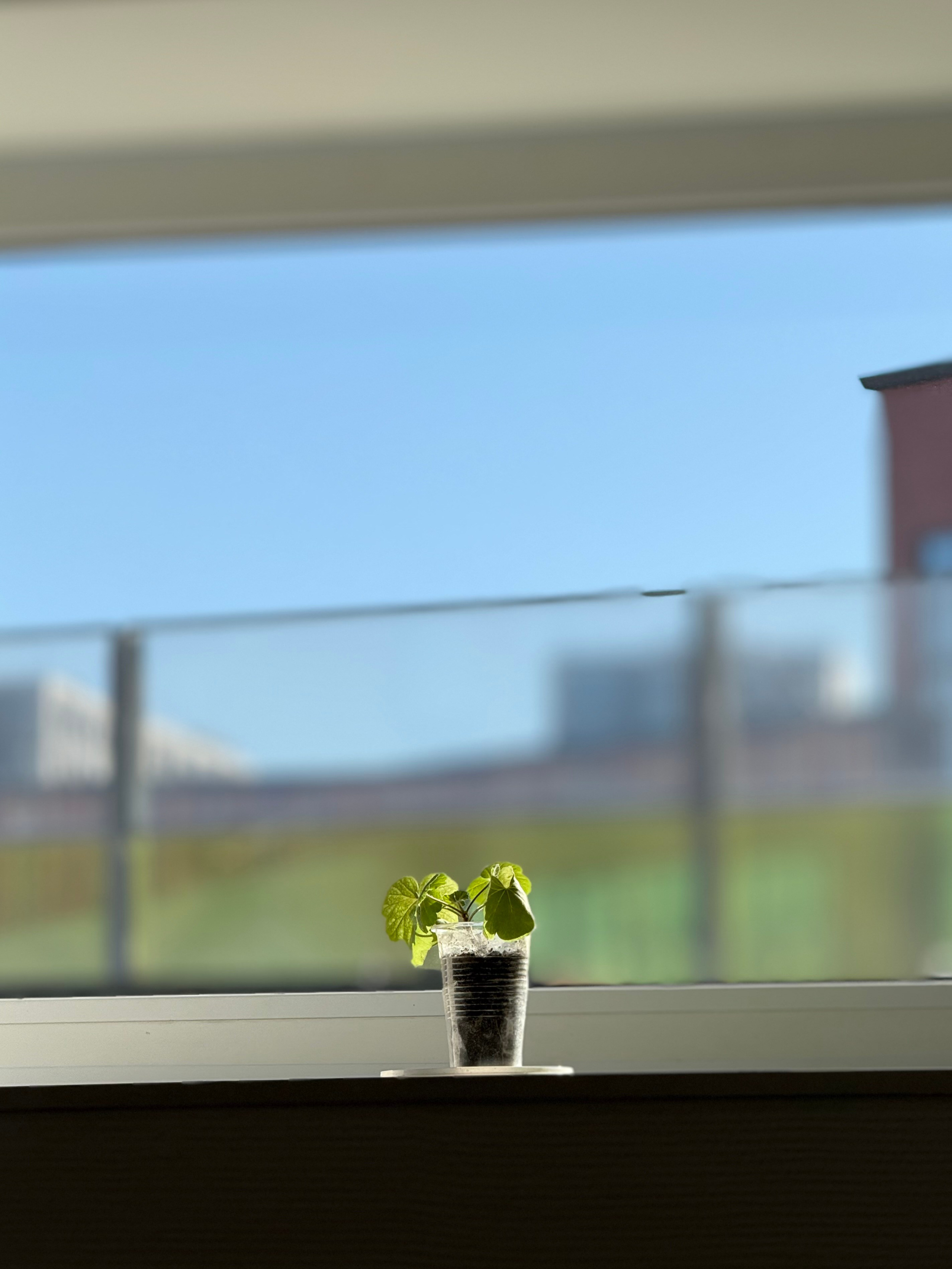 Фотограф Москва. Фотограф и художник в Москве Евгения Нюнина