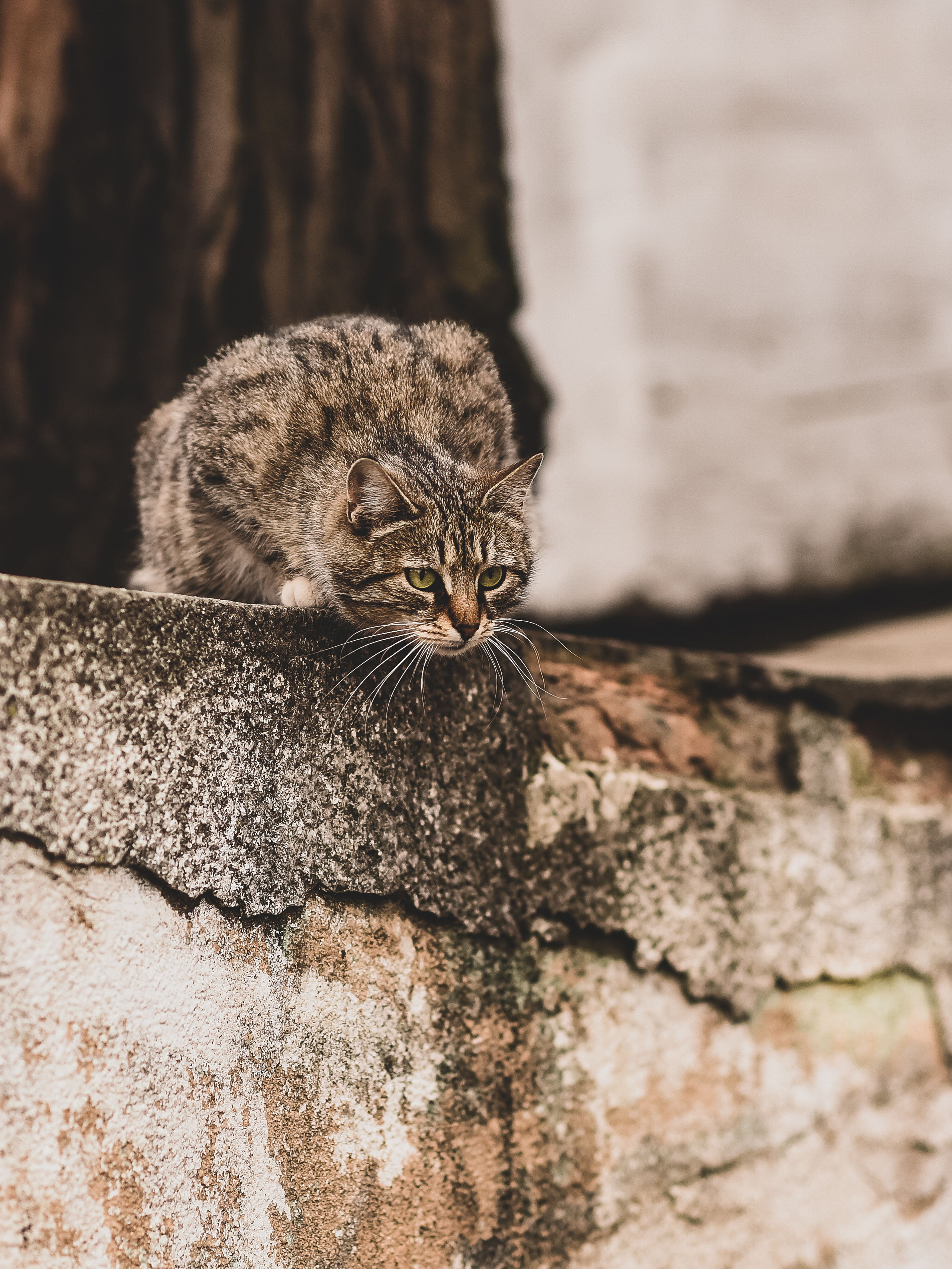 Галерея. Свадебный, семейный, контент и портрет фотограф в Ростове-на-Дону Наталь