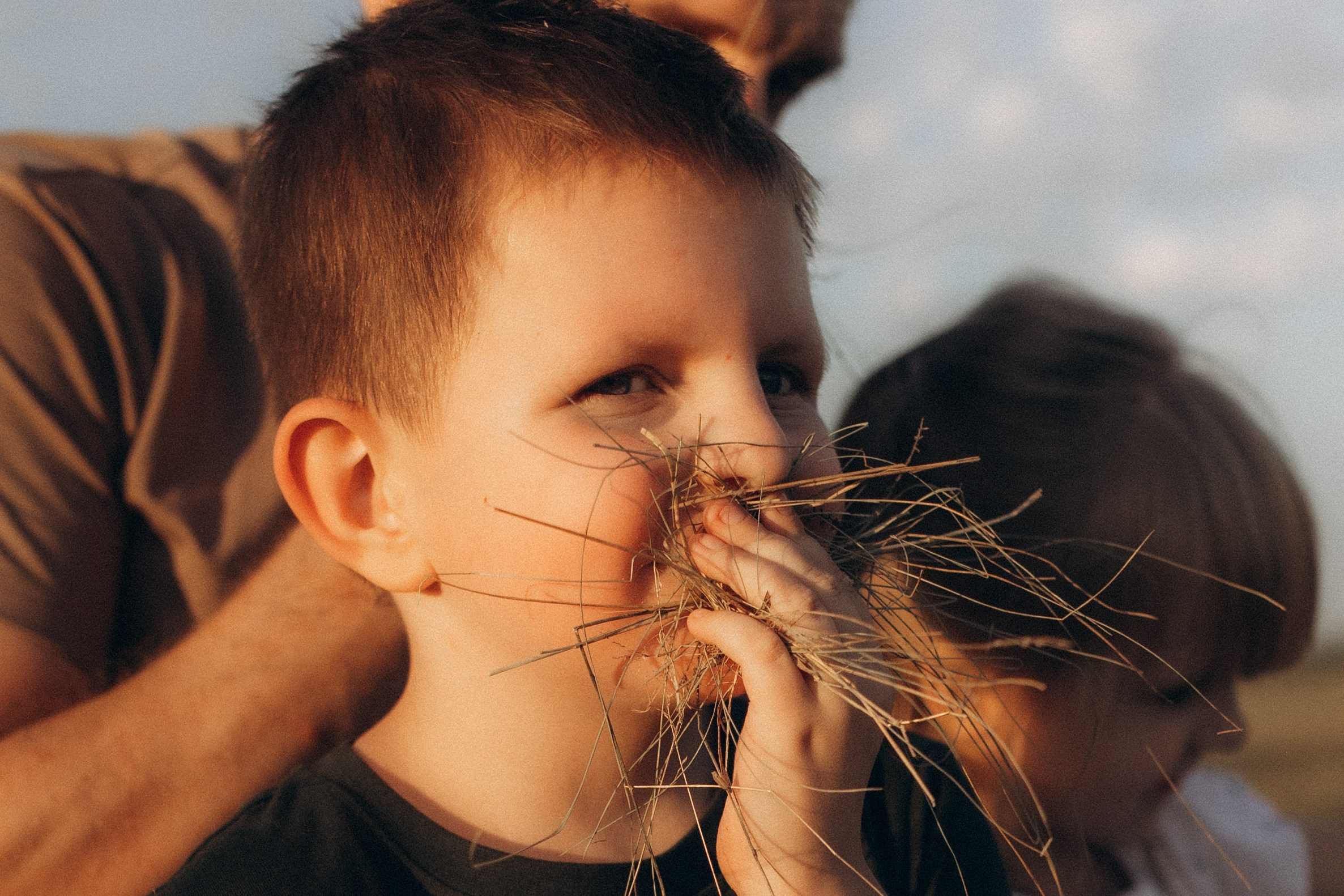Летняя история в поле. Семейный фотограф lifestyle в Новосибирске Елена Шпилевая