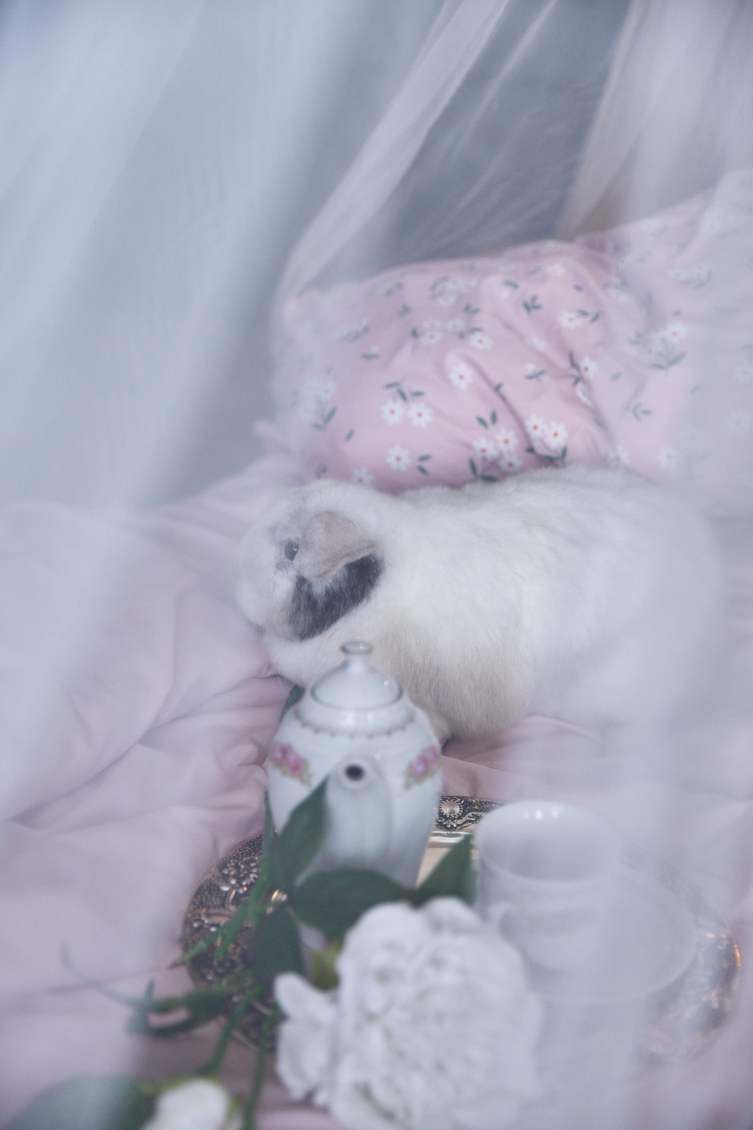 Летние фотопроекты