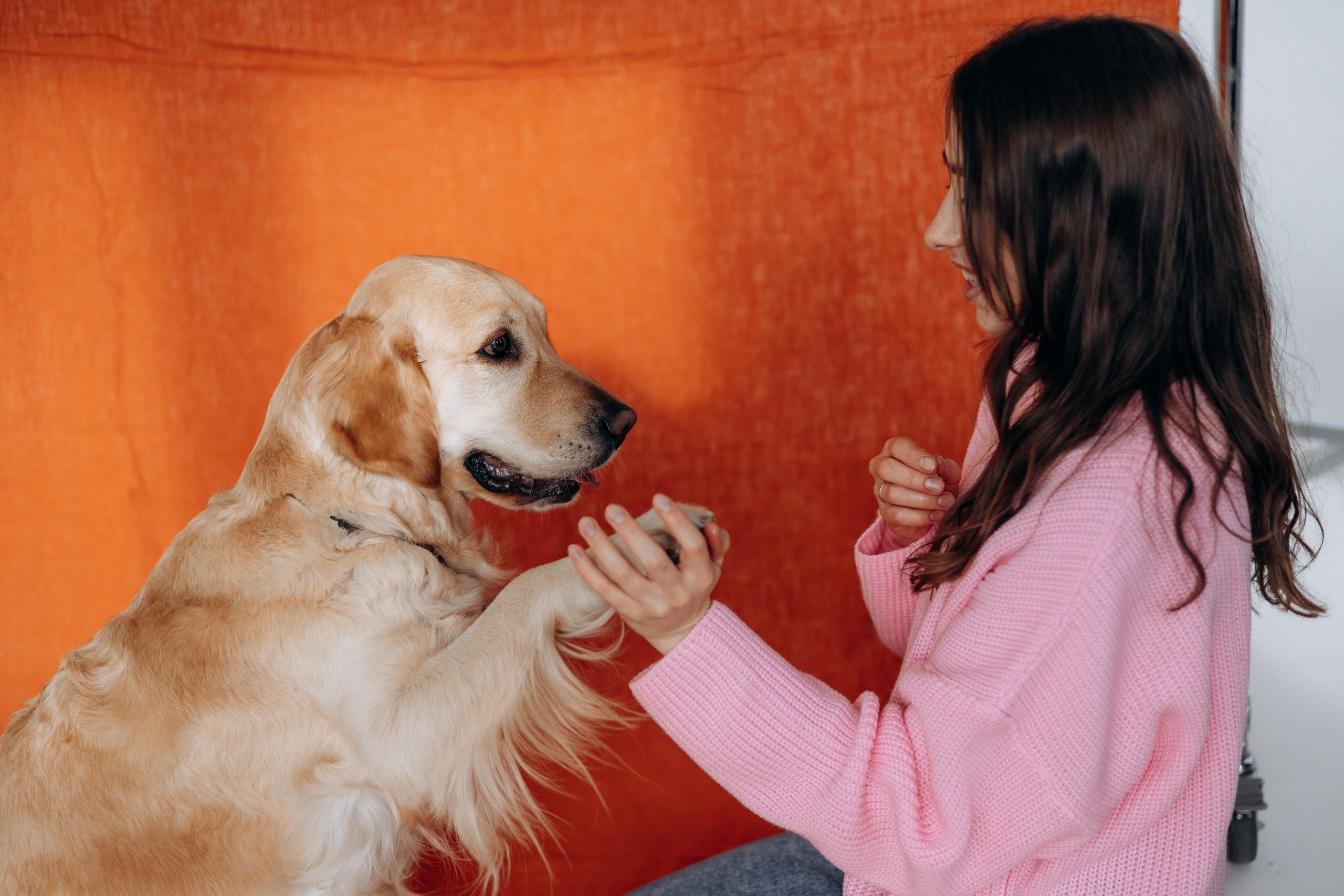 Марина и Чили. Фотограф — Анималист | Санкт-Петербург